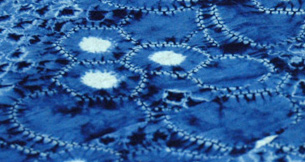 Shibori