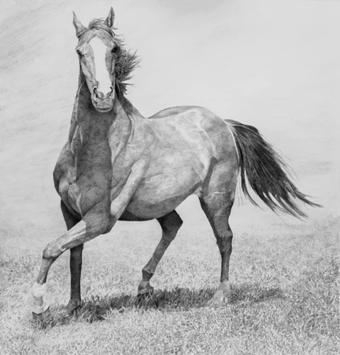 Practicing, by Carol Rowan