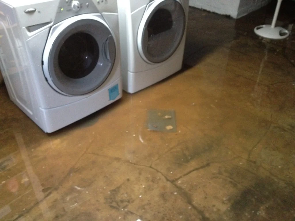 flood.jpg