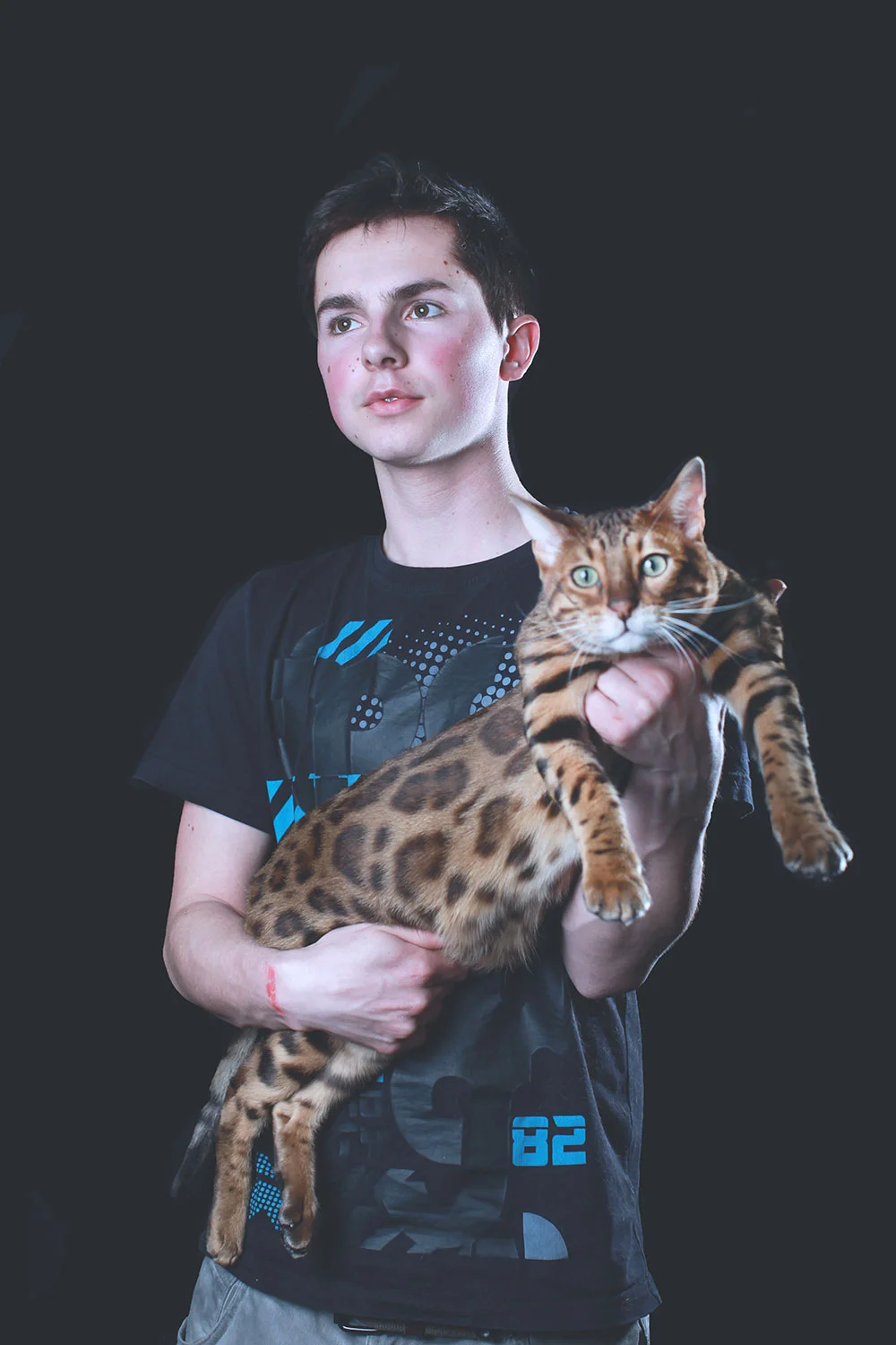 FINAL-CAT2-1812.jpg