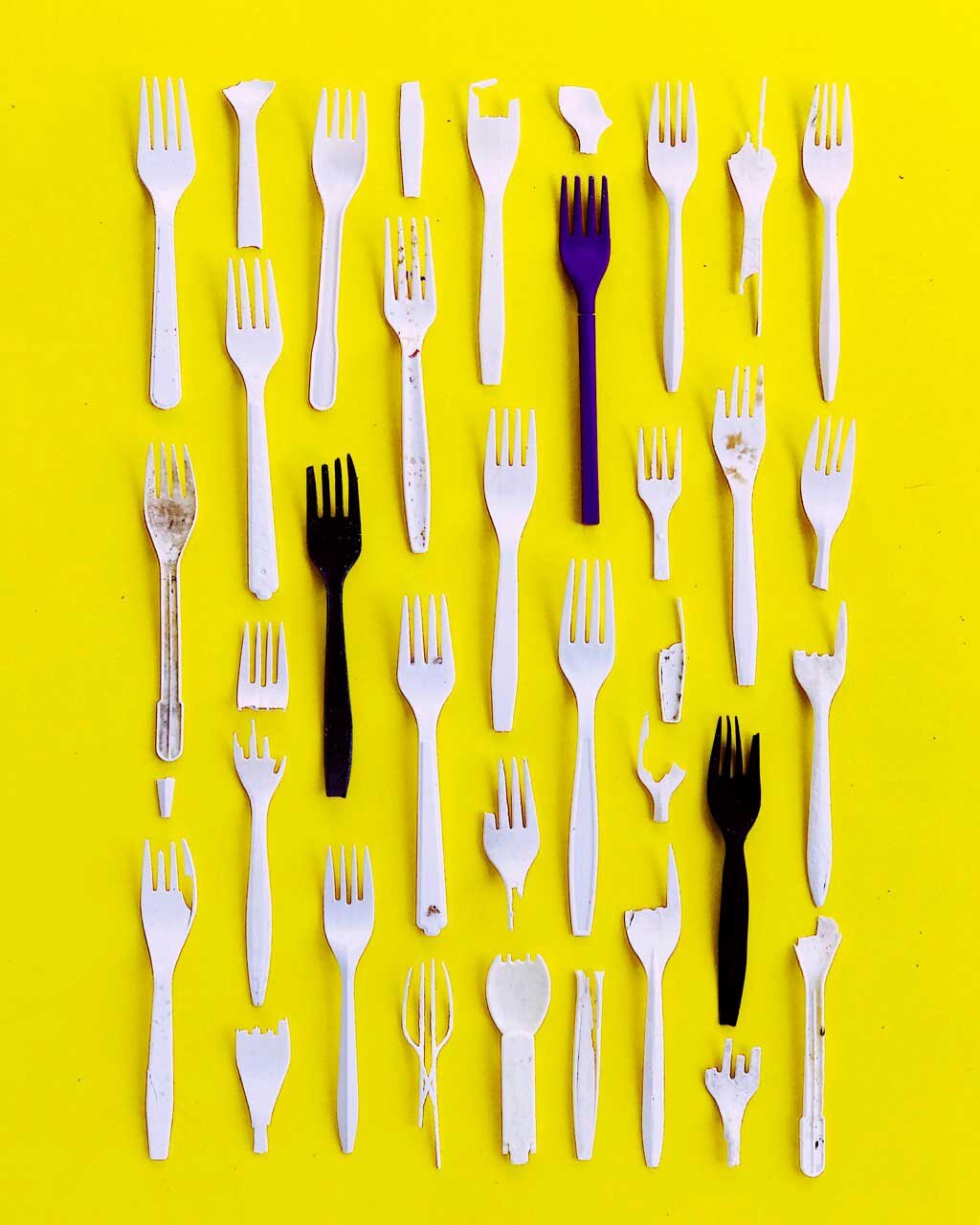 03-plastic-47F509C3-5D85-40D7-A37C-D8BE46CB19DB.jpg