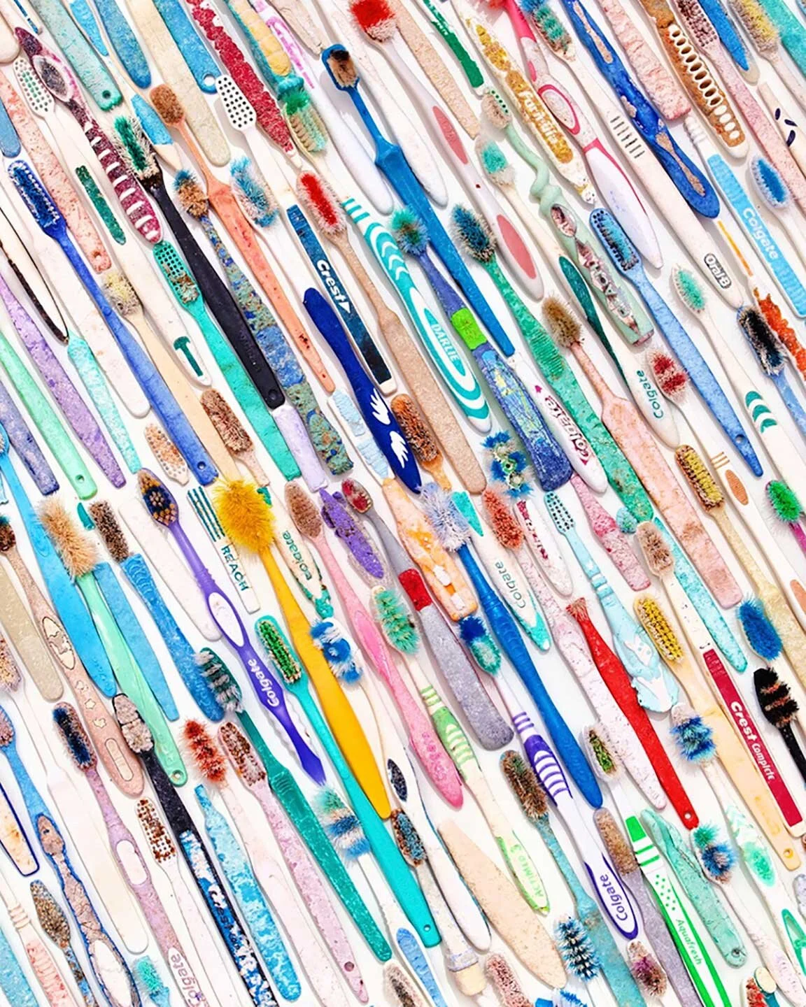 OCEAN-PLASTIC-AND-BOTANICALS08.jpg