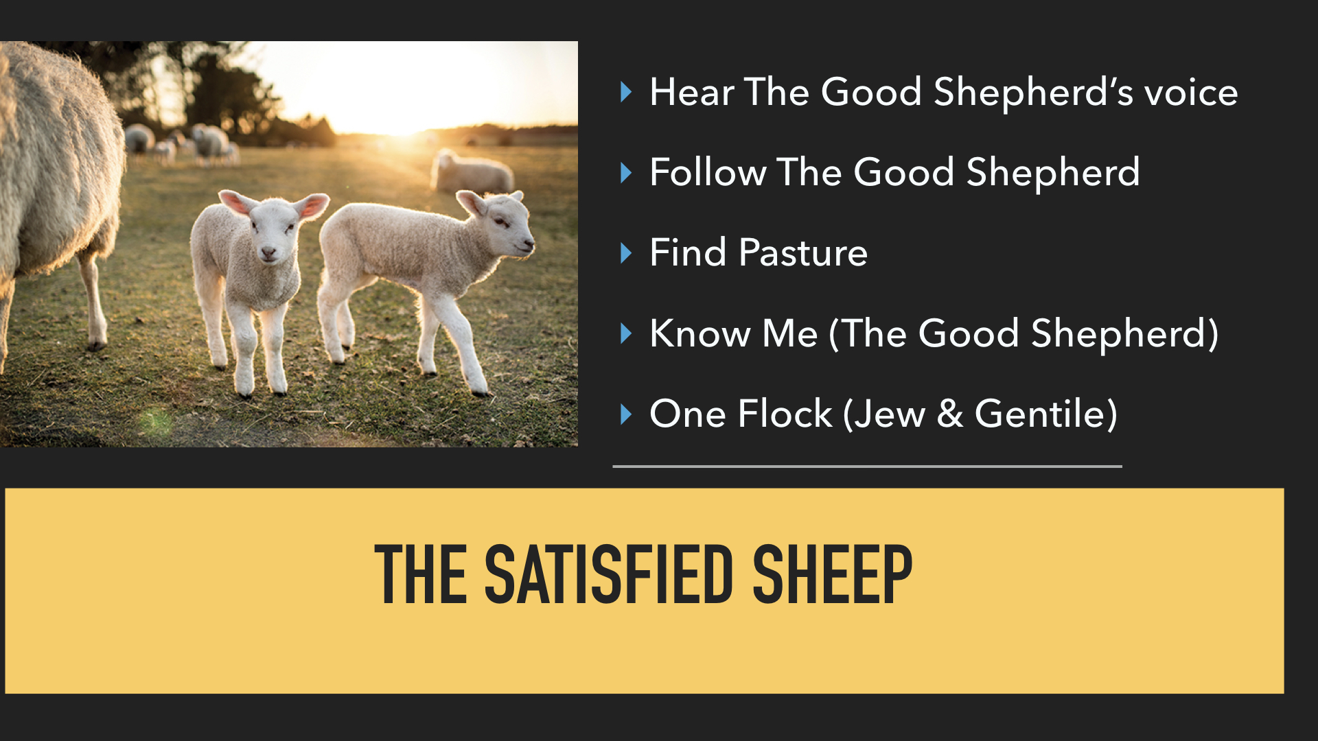 John 10:1-21 I AM The Good Shepherd .009.jpeg