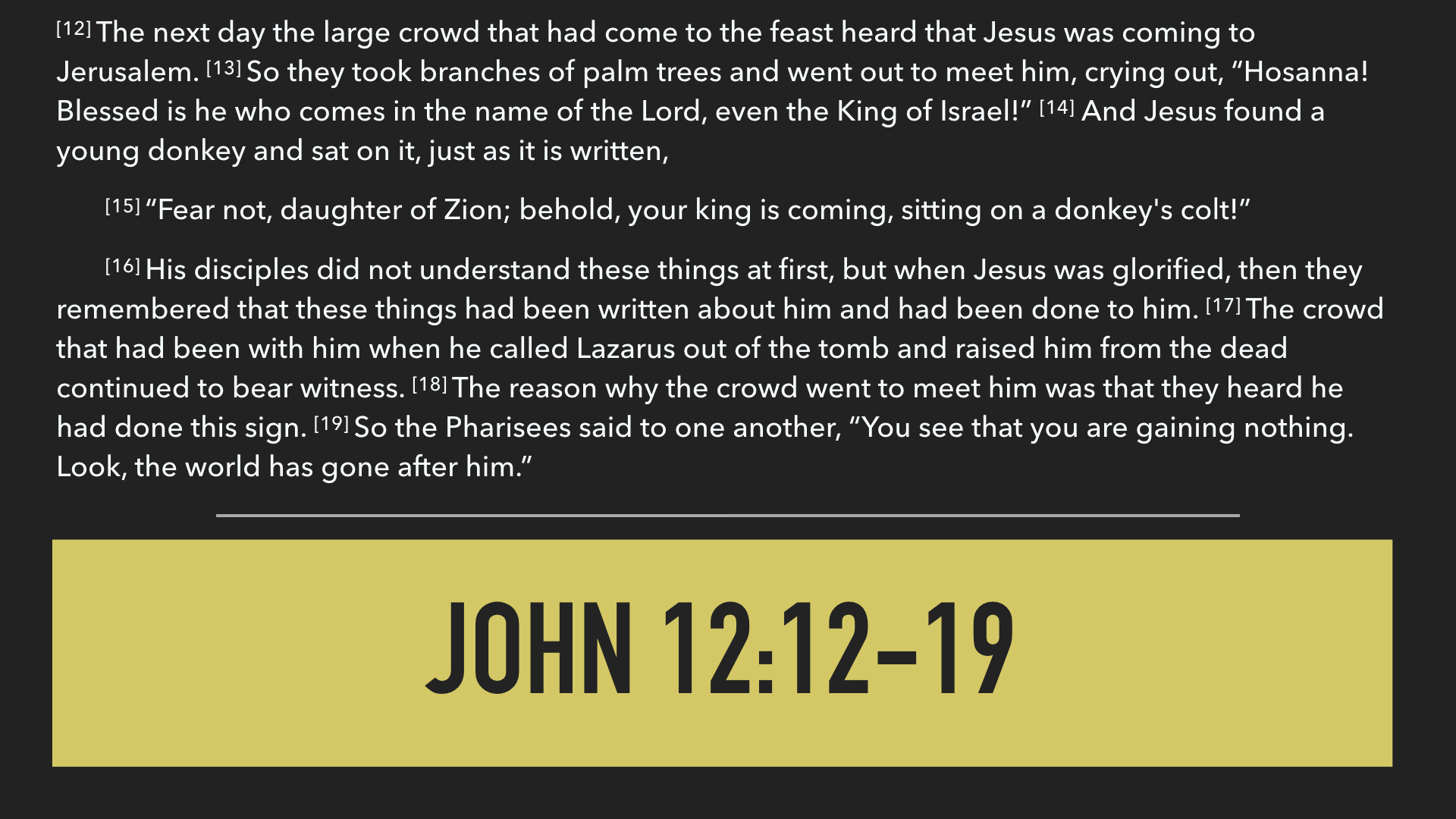 John 12:12-19.003.jpeg