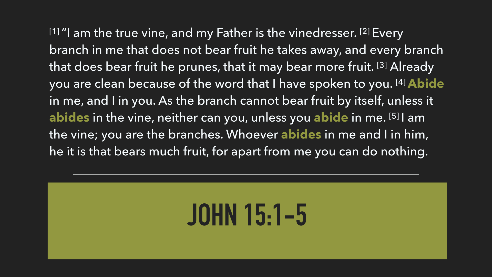 John 15:1-5.002.jpeg