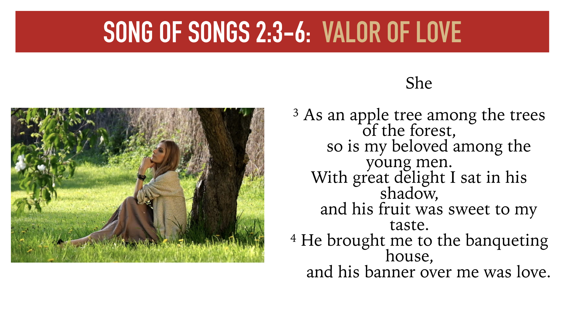 Song of Songs 1:15-2:7.005.jpeg
