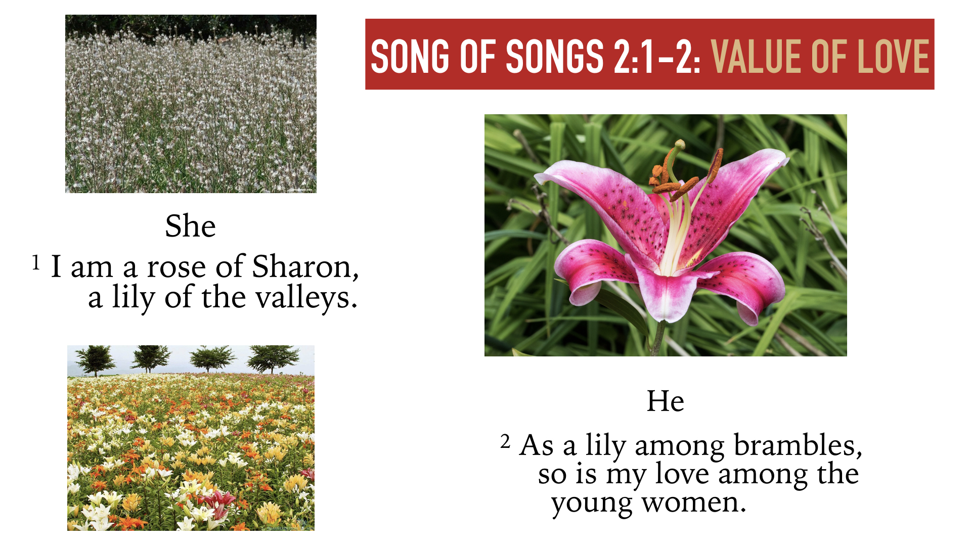 Song of Songs 1:15-2:7.004.jpeg