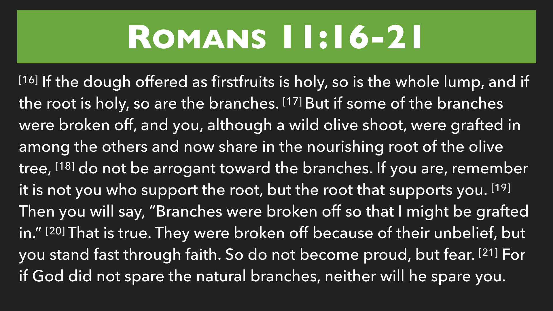 Romans 11:11-24.006.jpeg