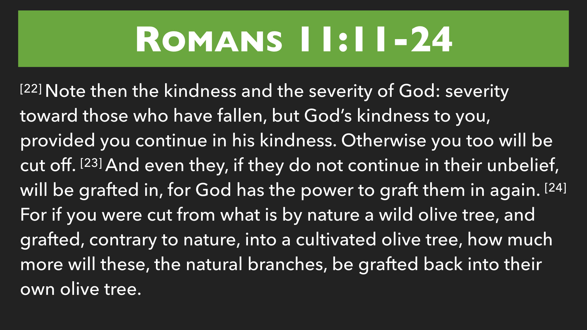 Romans 11:11-24.008.jpeg