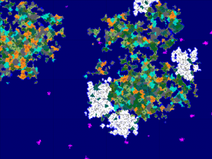 overviewMap-300x225.png