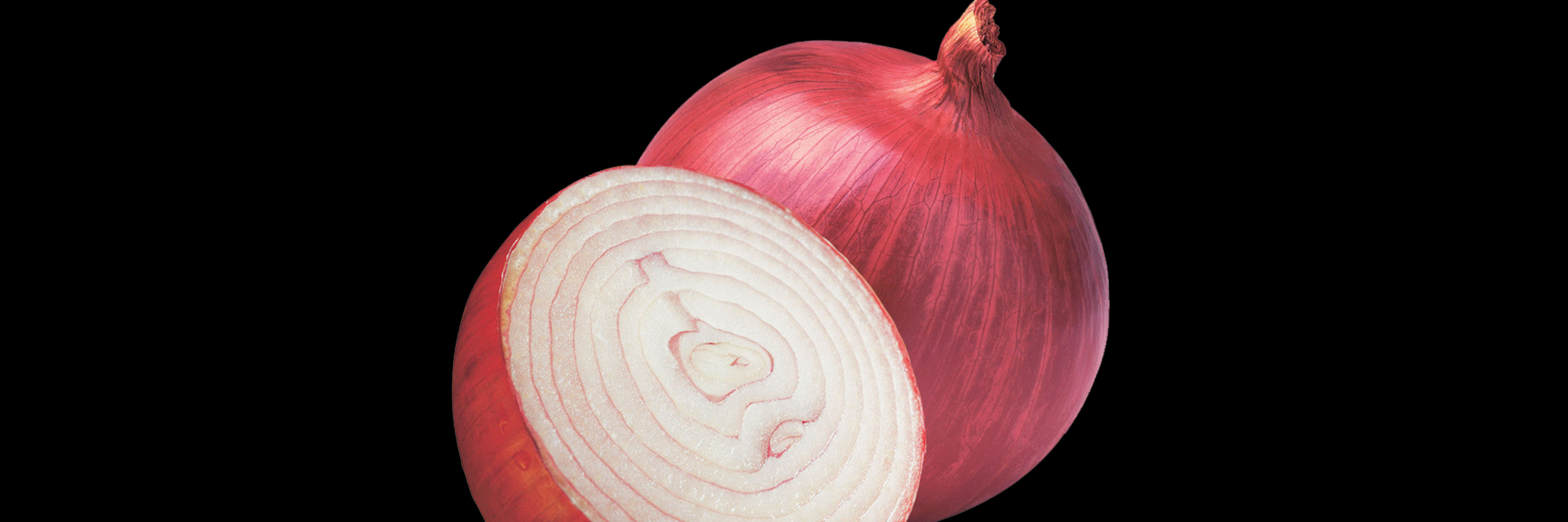 onion.png