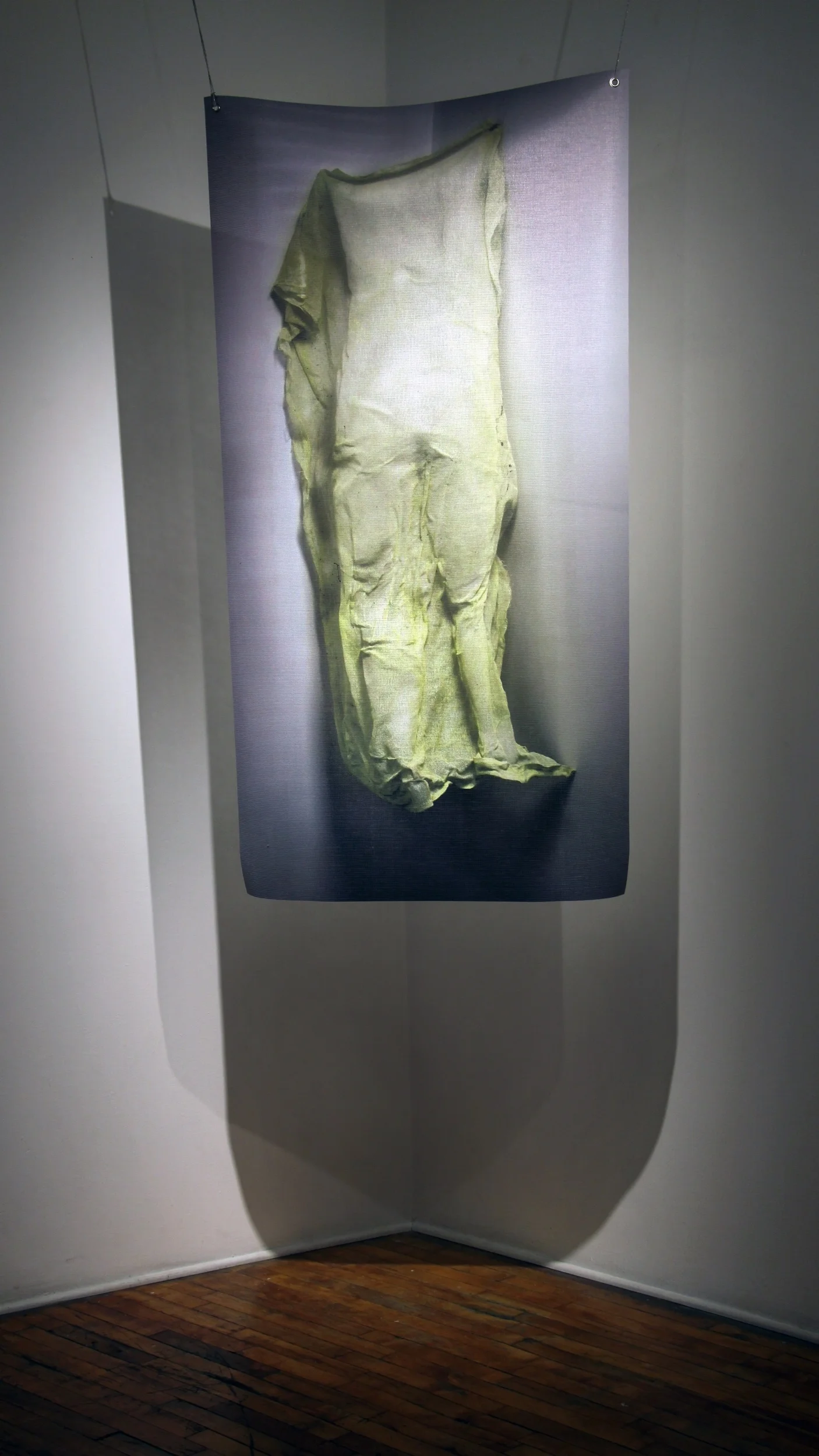 figure.jpg
