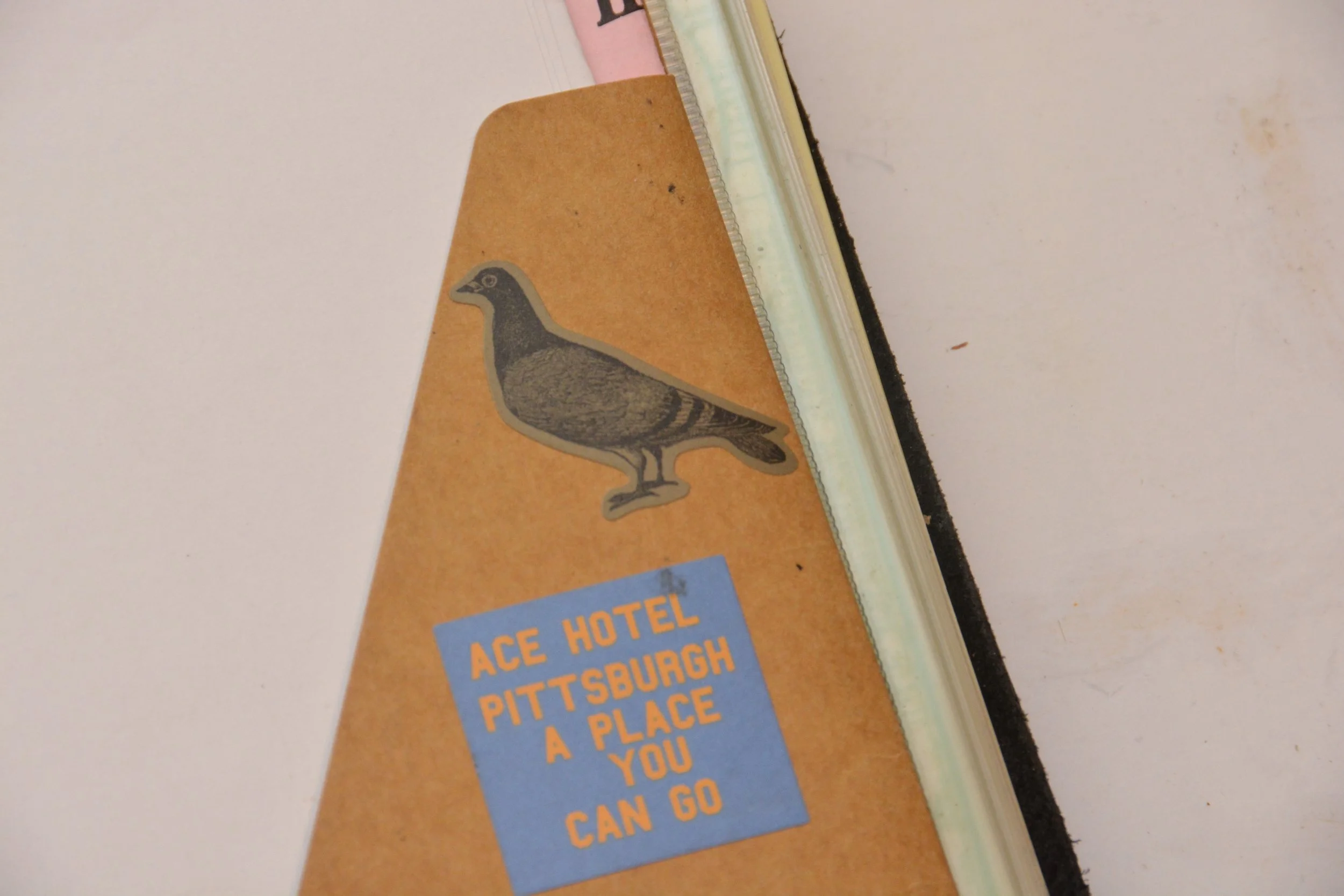 Even the pigeon has significance. 