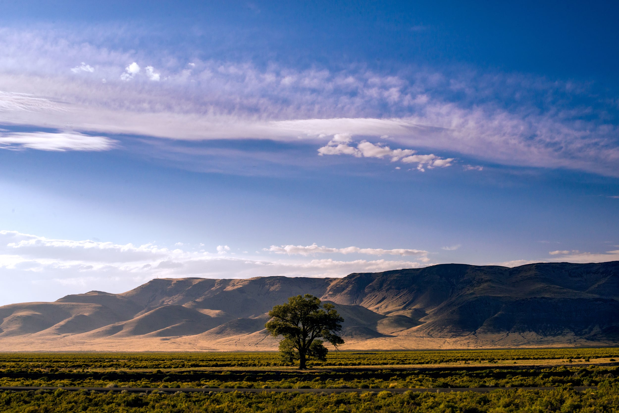 DSC_3316-Edit.jpg