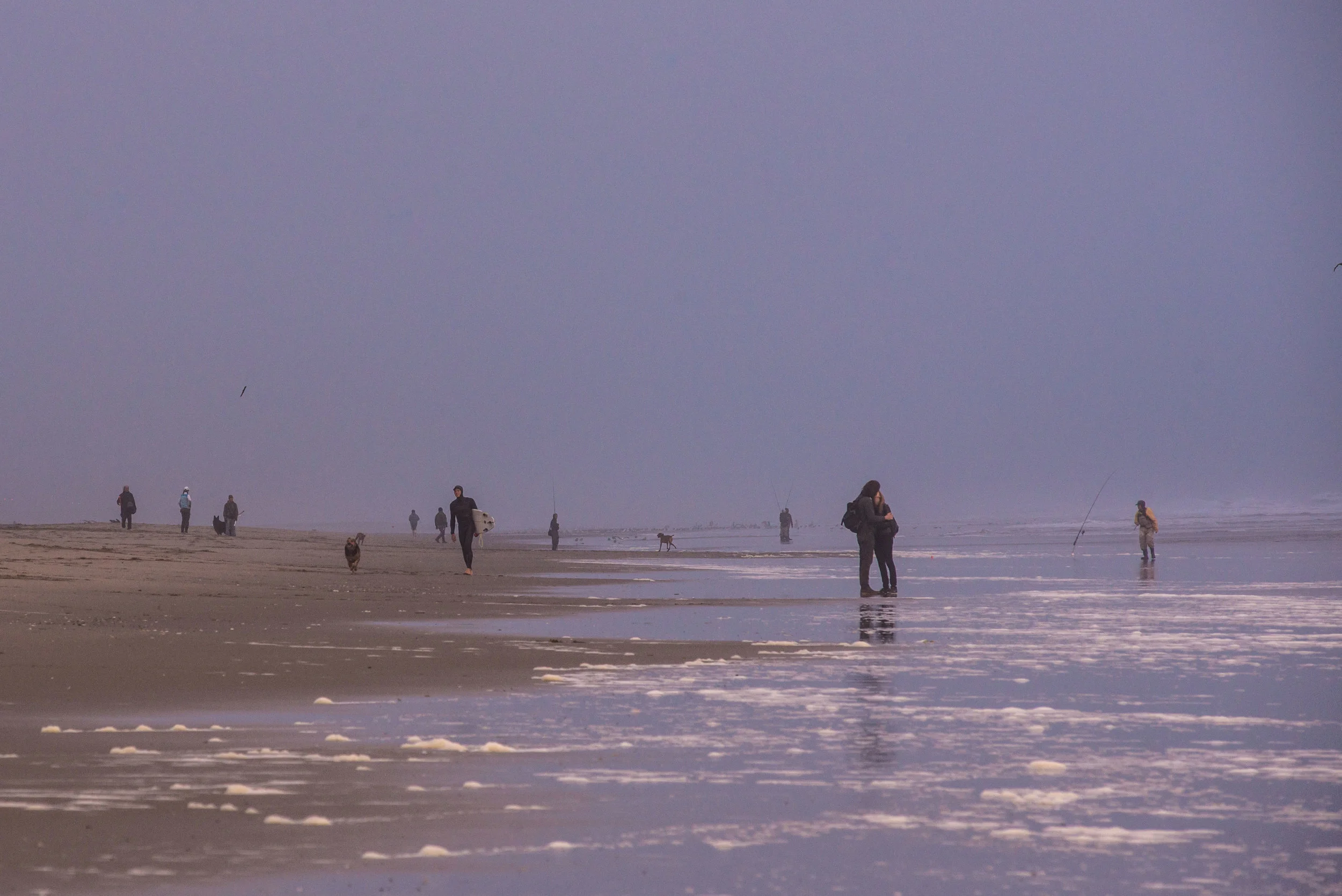 DSC_0312.jpg