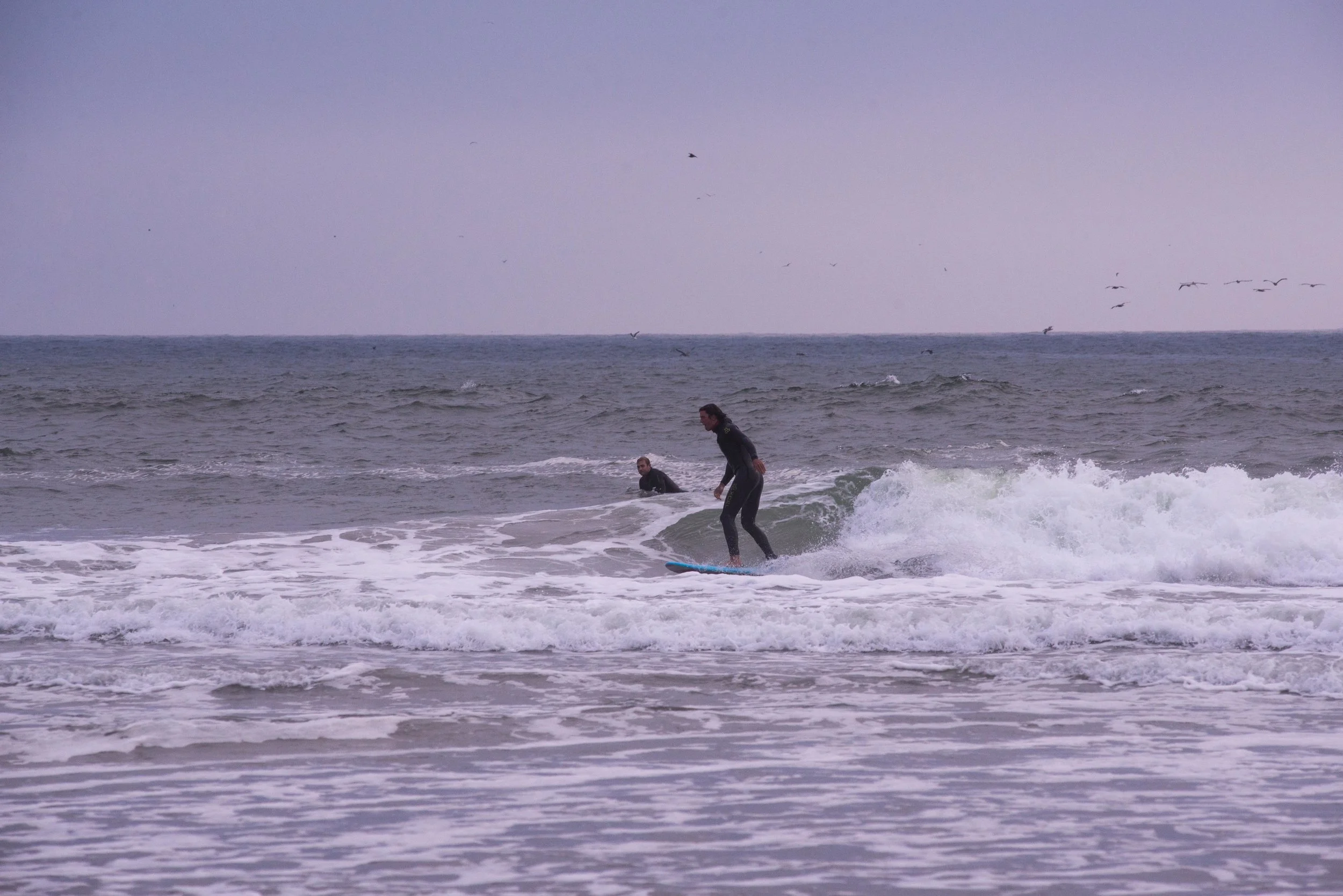 DSC_0323.jpg