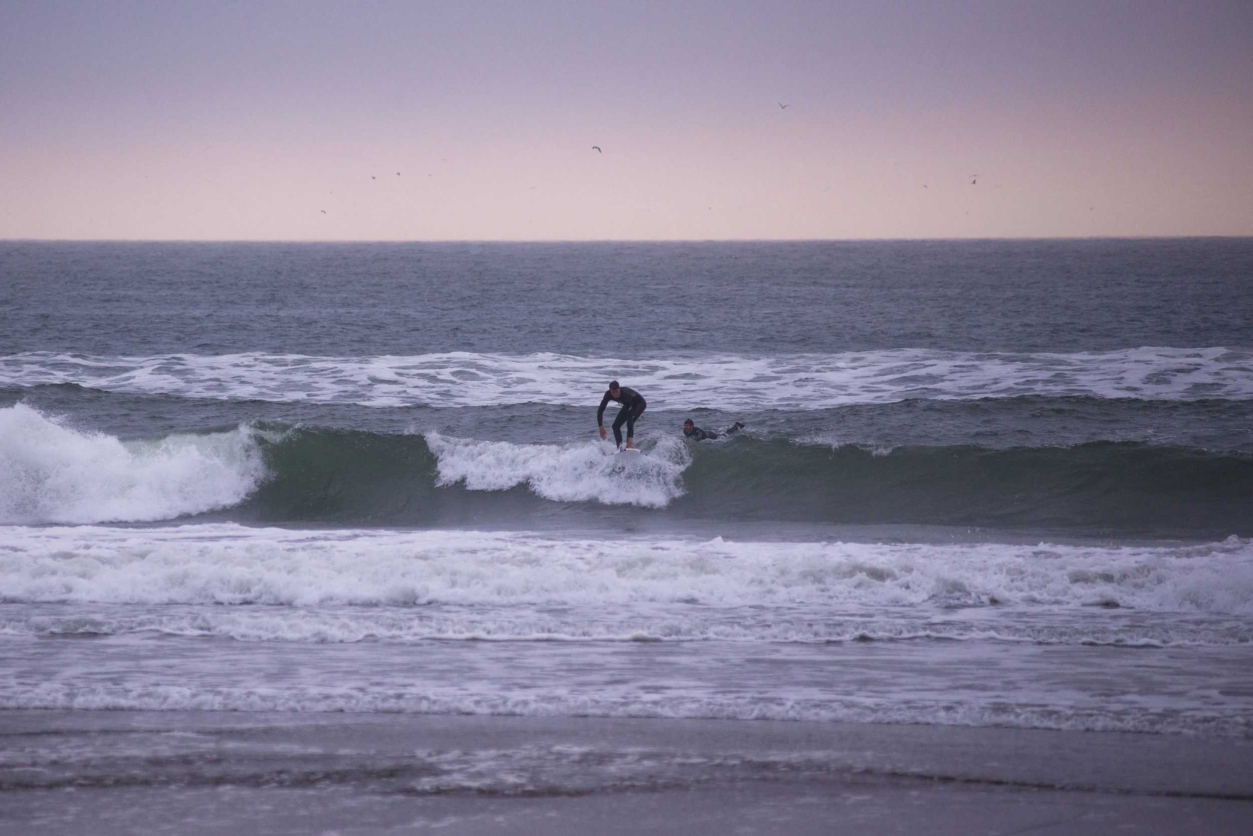 DSC_0377.jpg