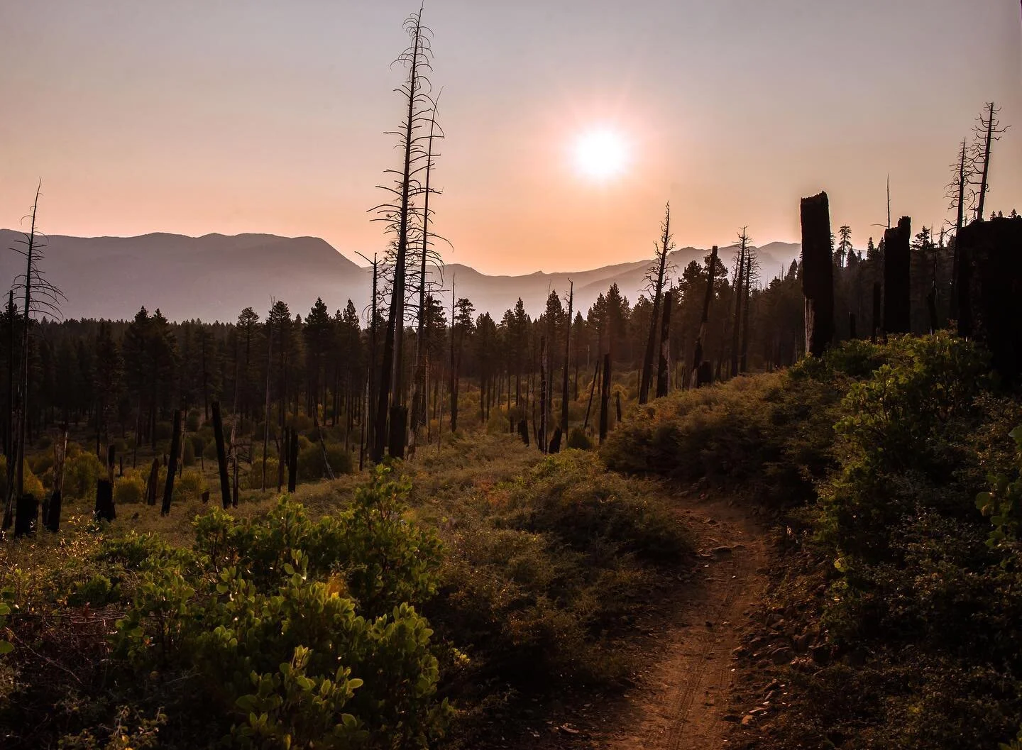 Find your path.