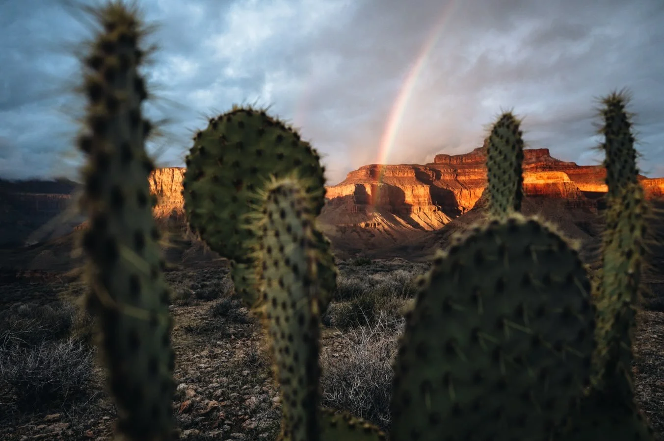 Grand Canyon 🌈 - Feb 2026