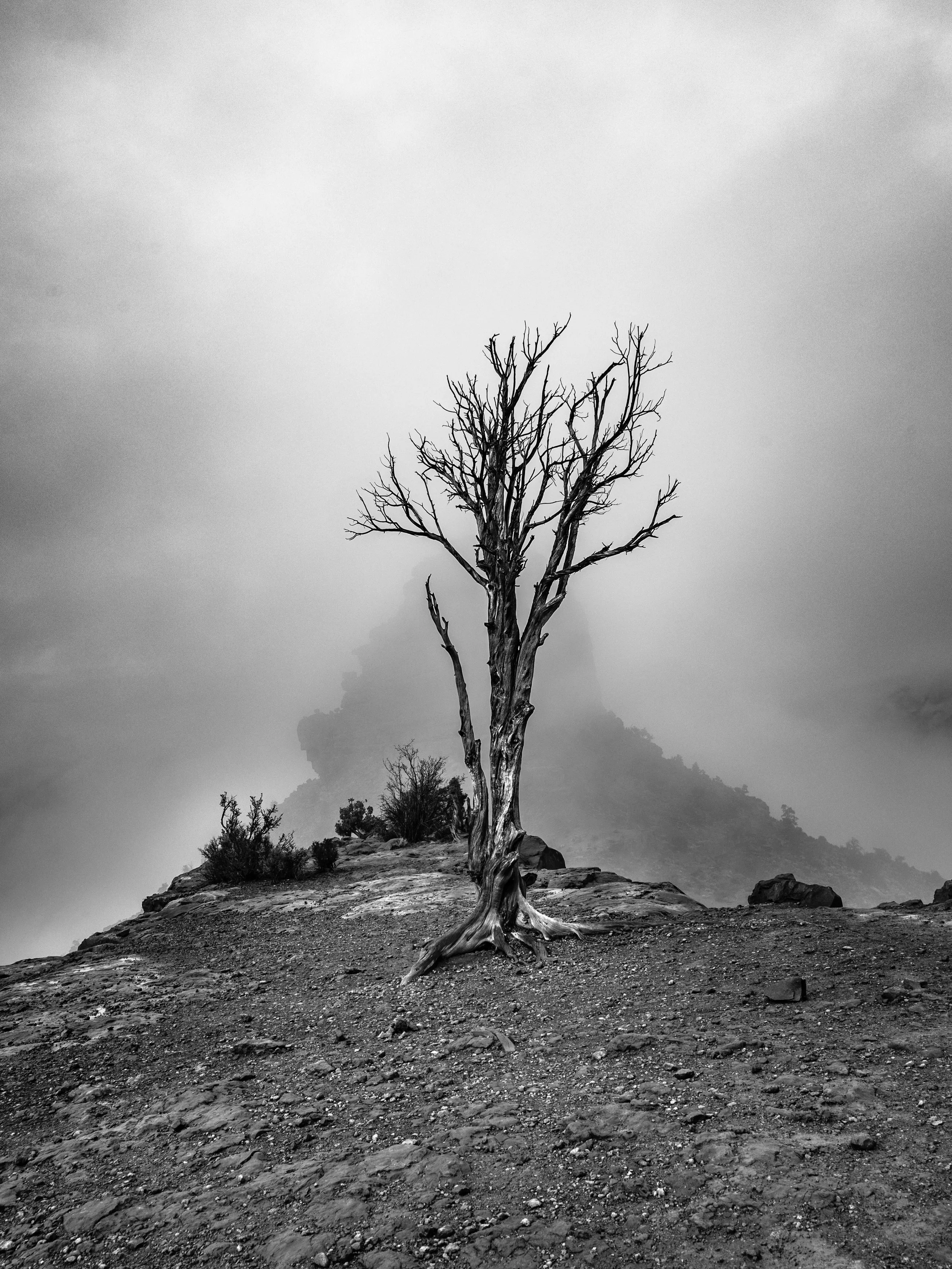 Grand Canyon - Feb 2026