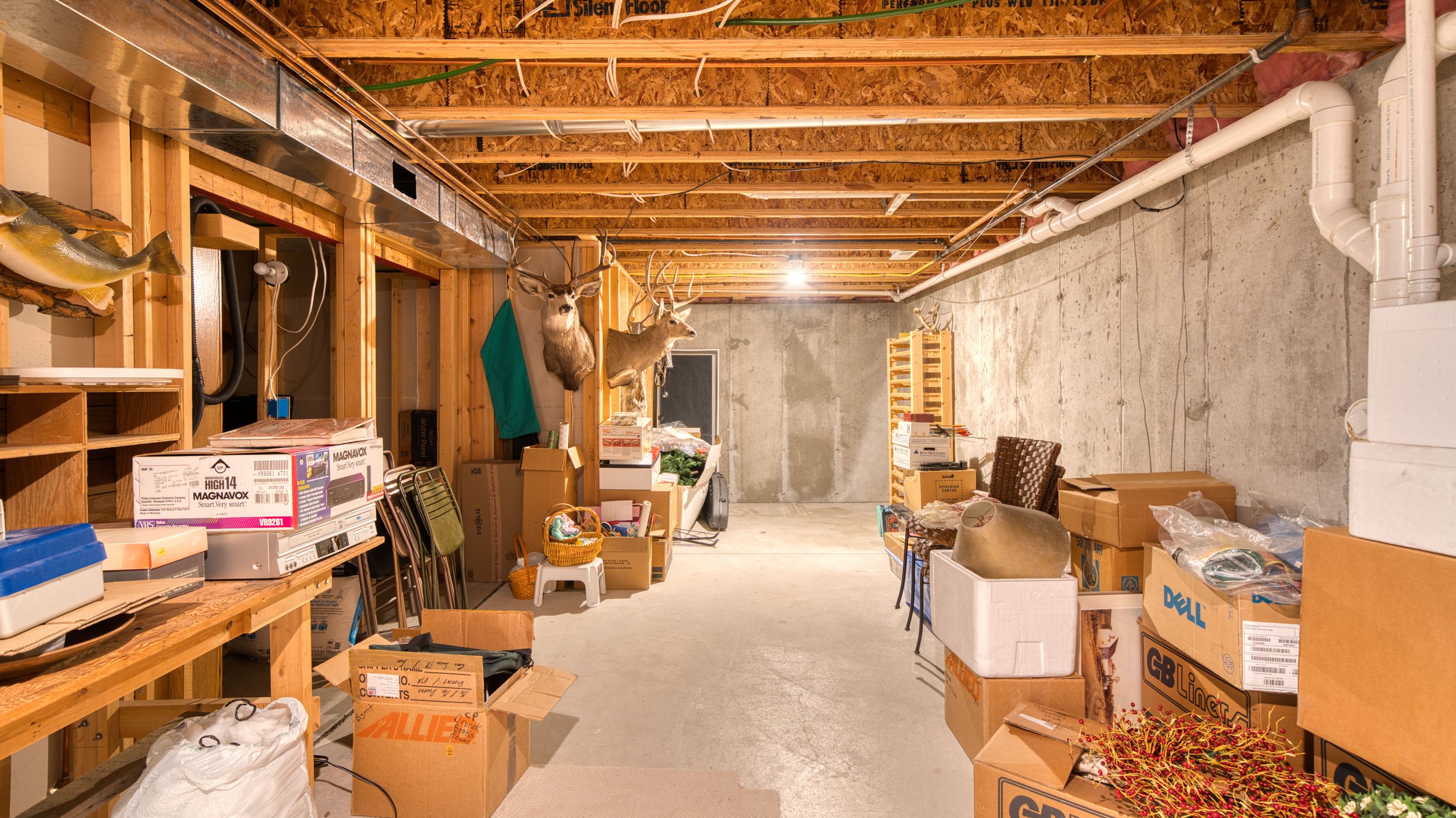 85.jpg