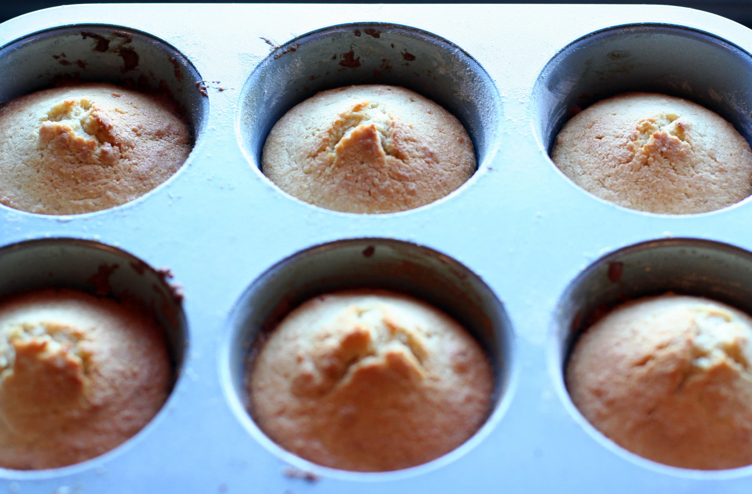 cakes in pan.jpg