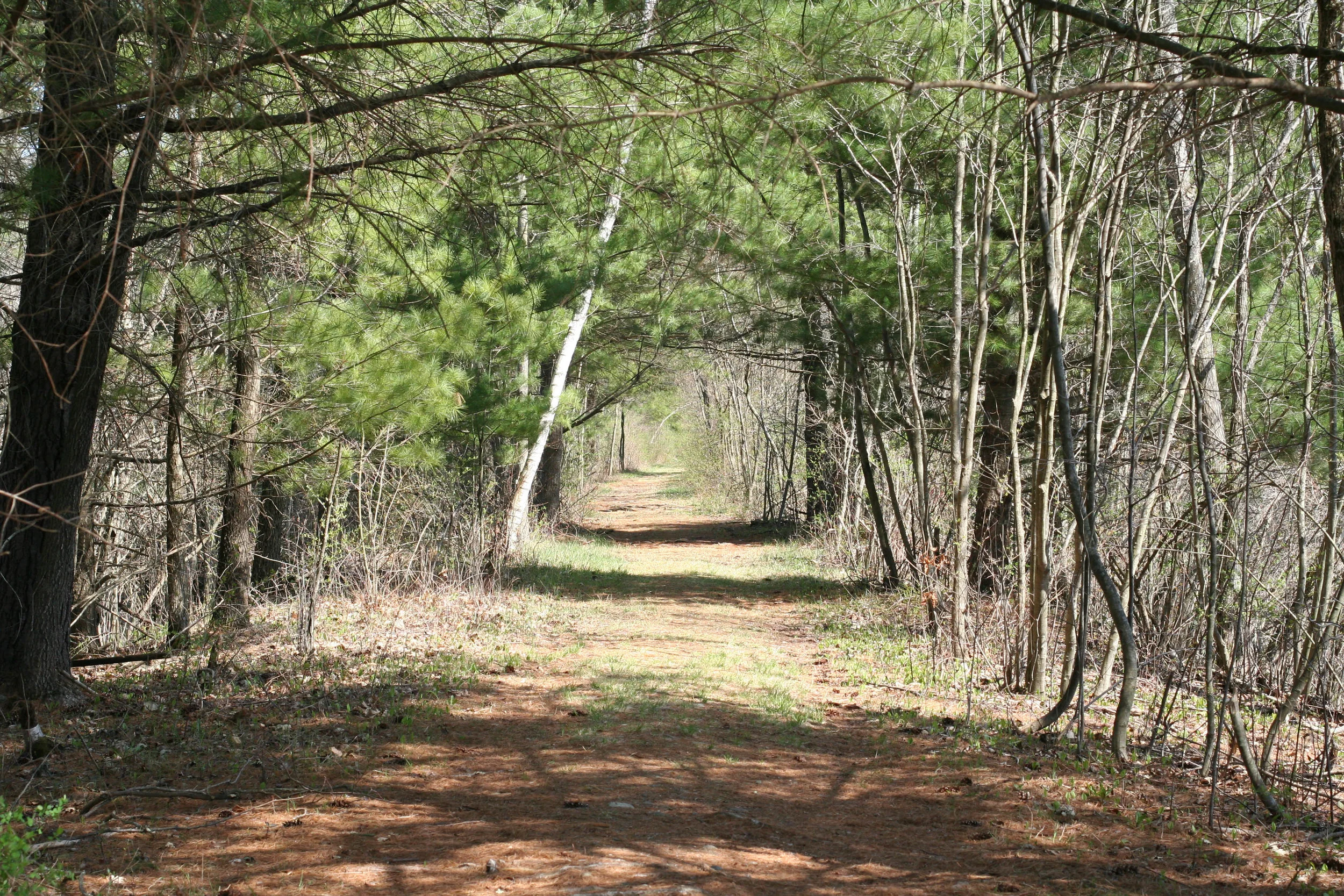 path.jpg