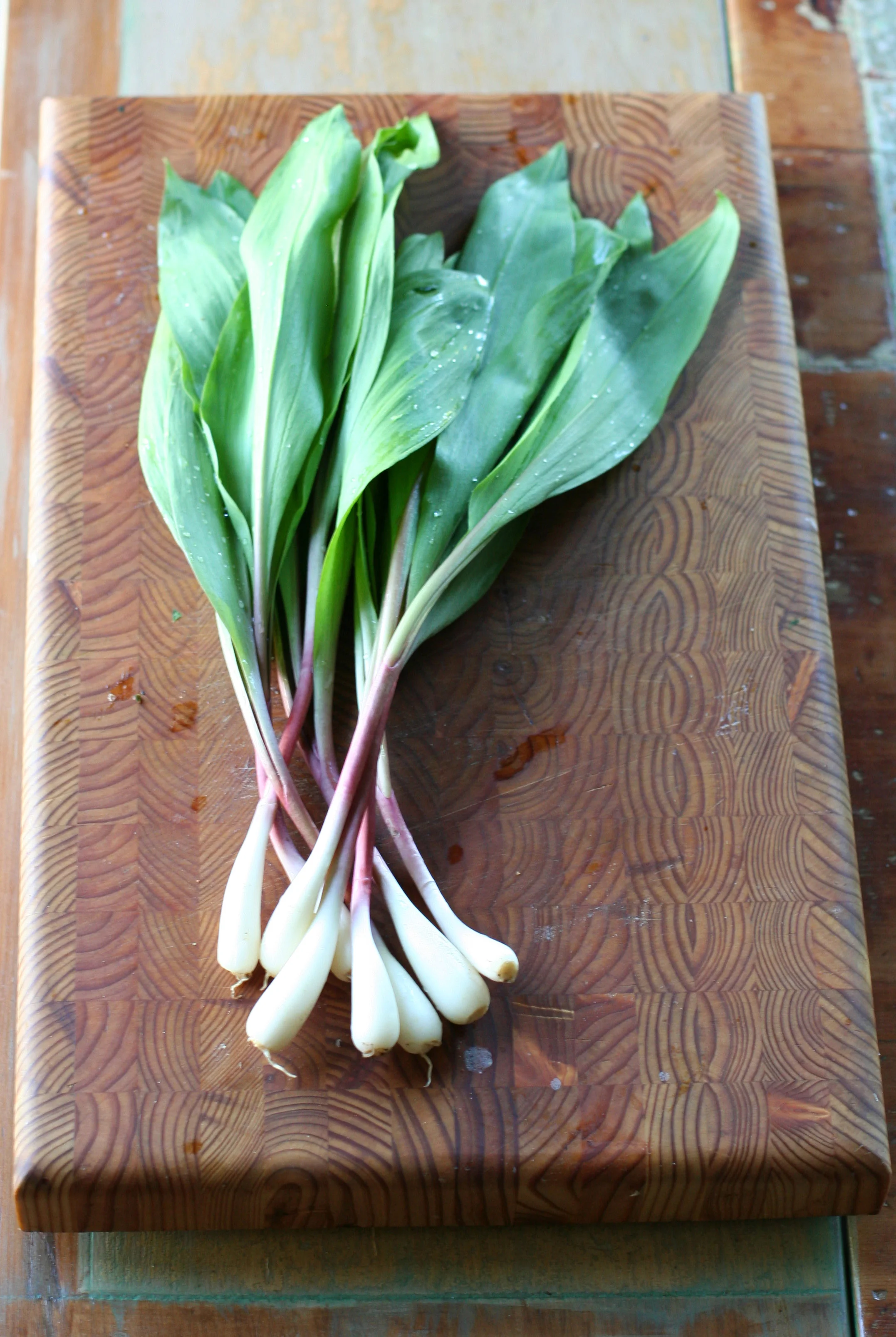 ramps.jpg