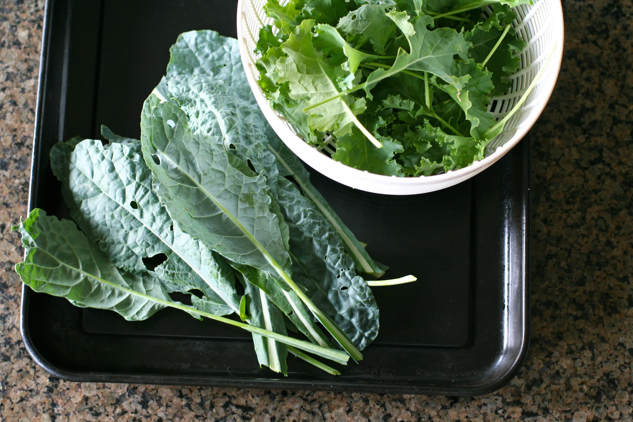kale ready.jpg
