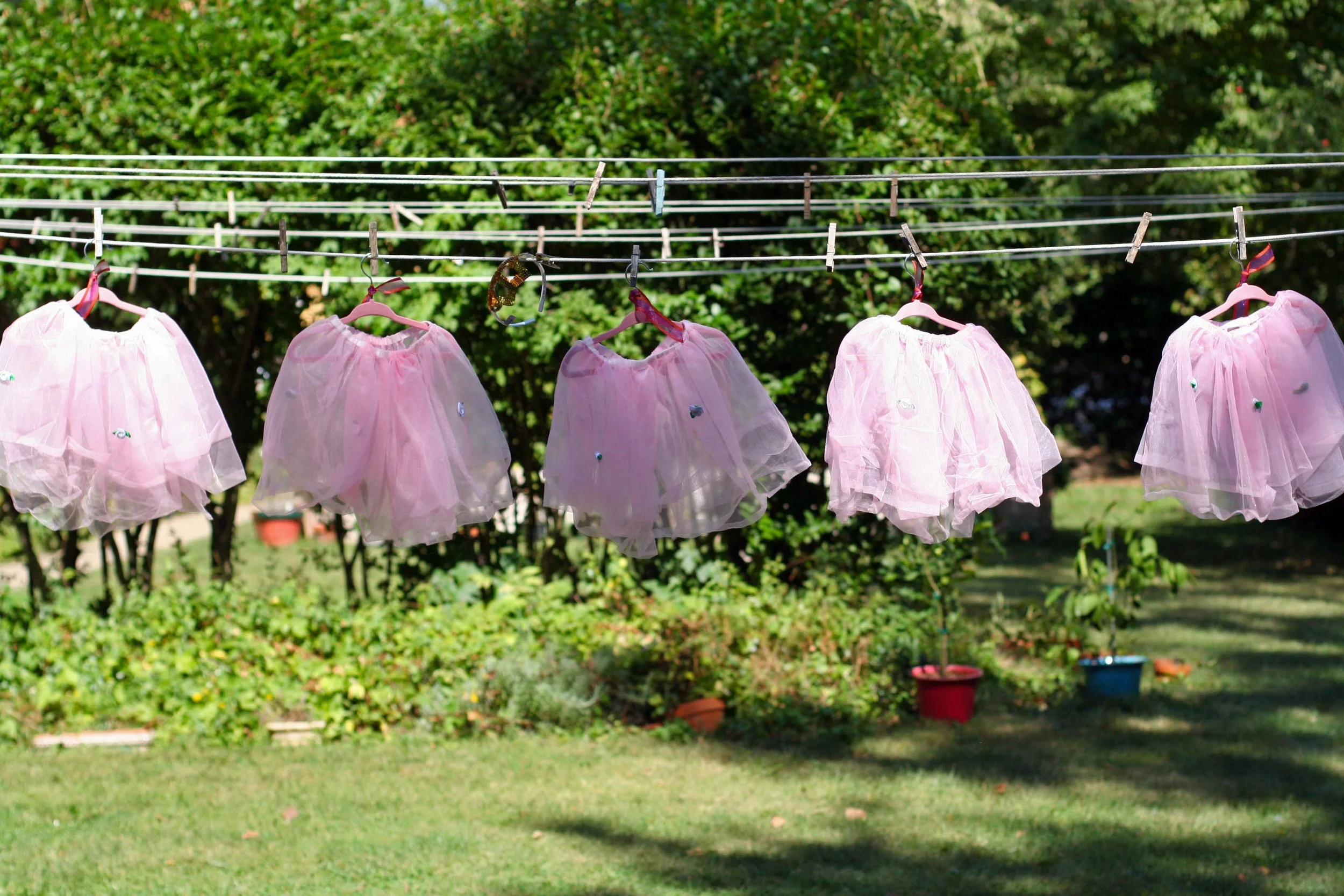 tutus.jpg