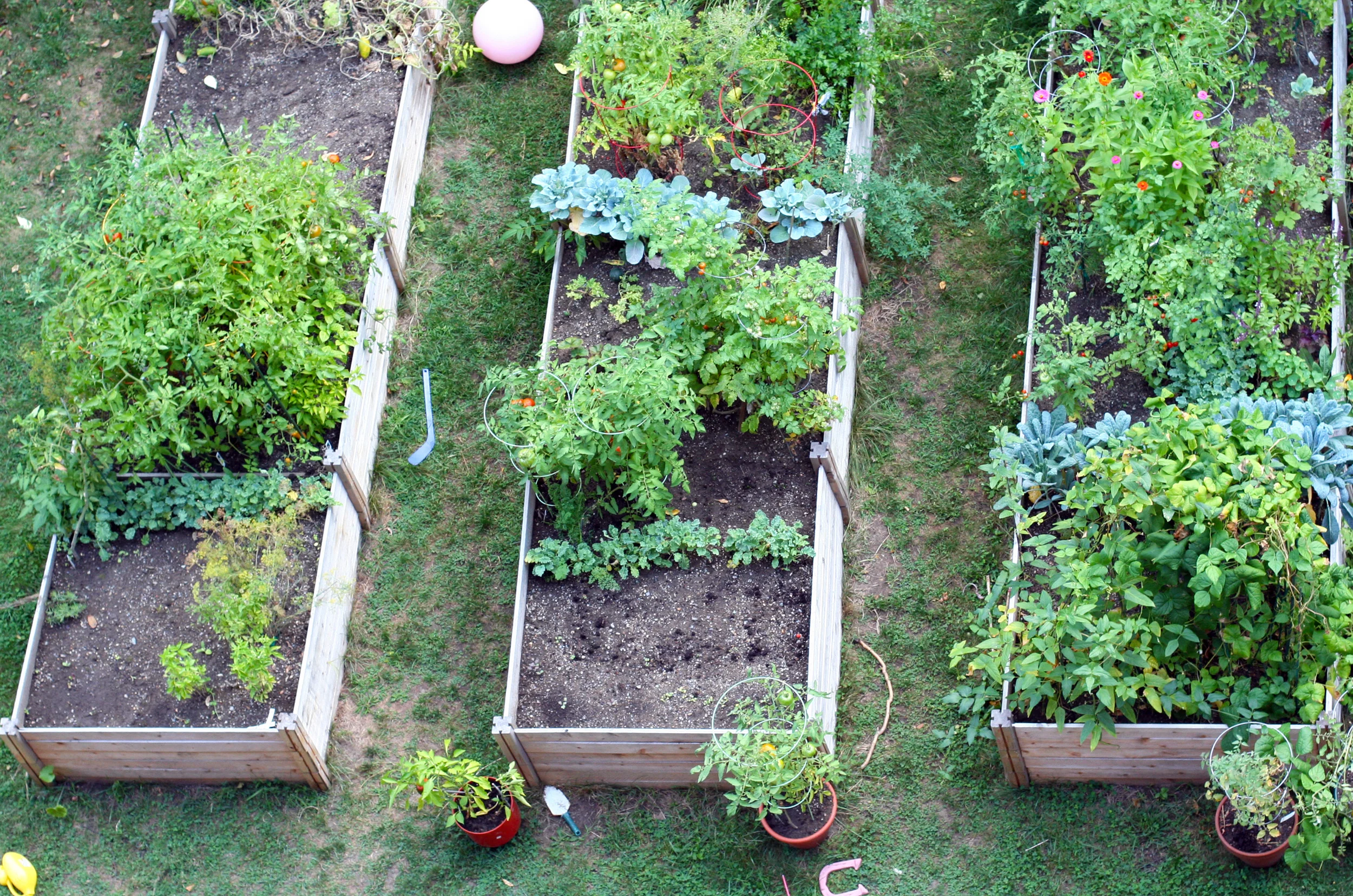 garden 2.jpg
