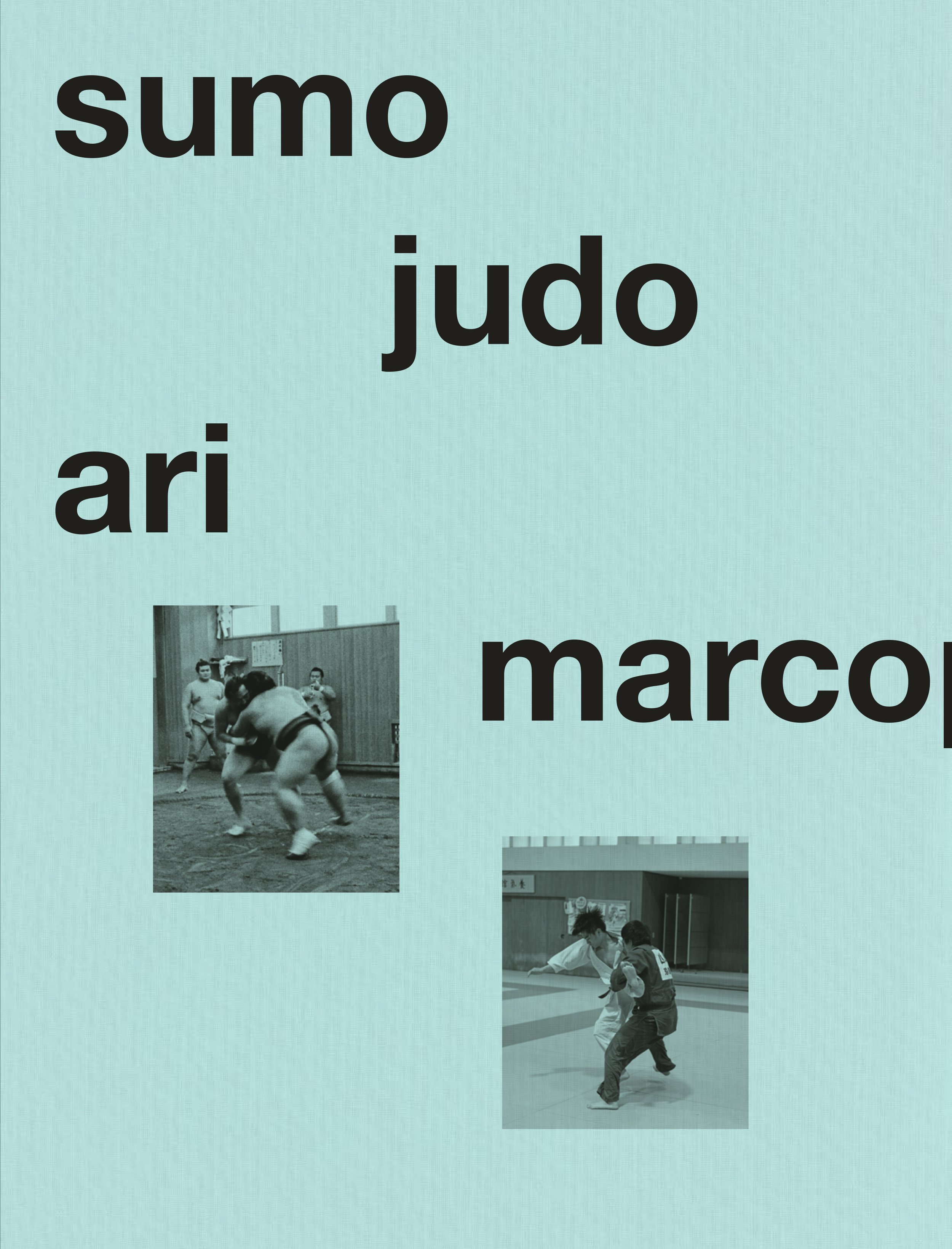 sumo_judo_draft-2-1.jpg