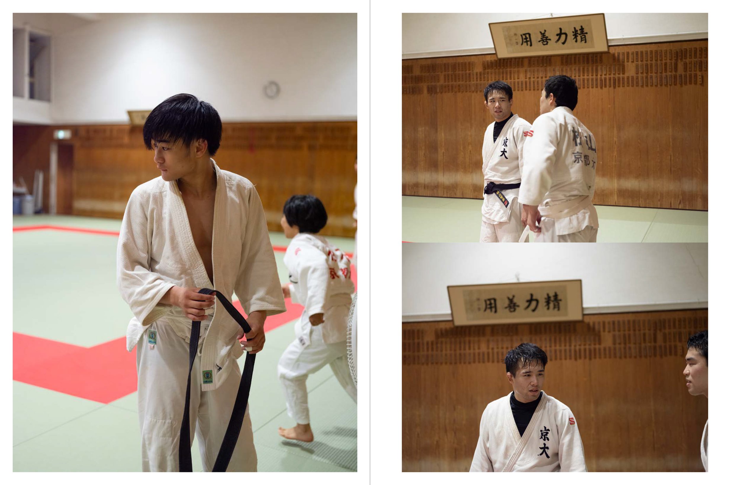 sumo_judo_draft-2-29.jpg