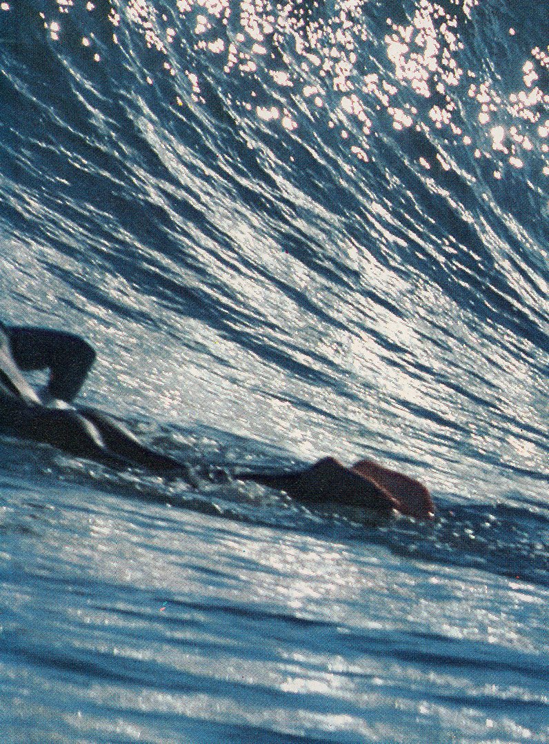 Paddleout_30x40final.jpg