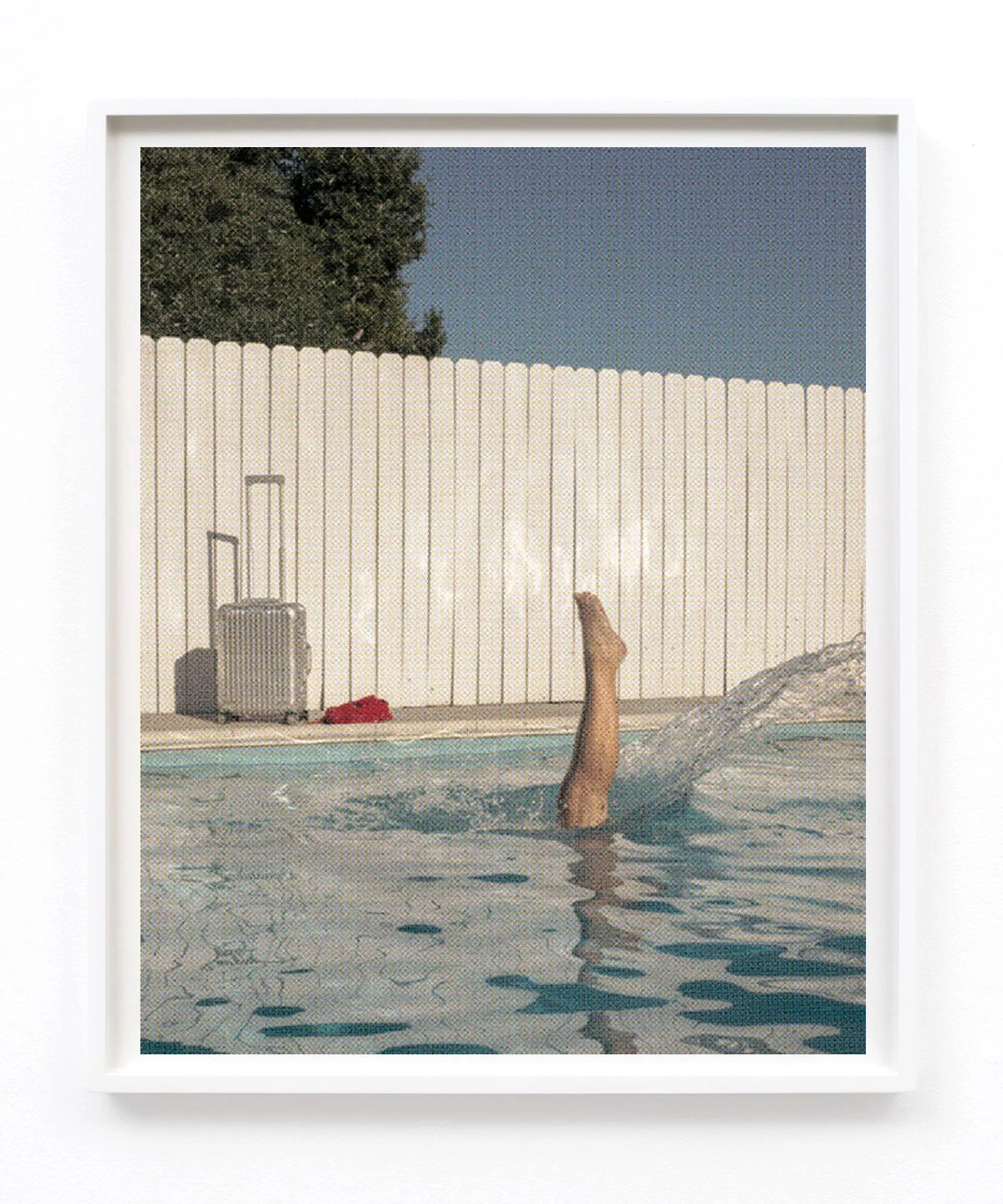 firstdive_frame.jpg