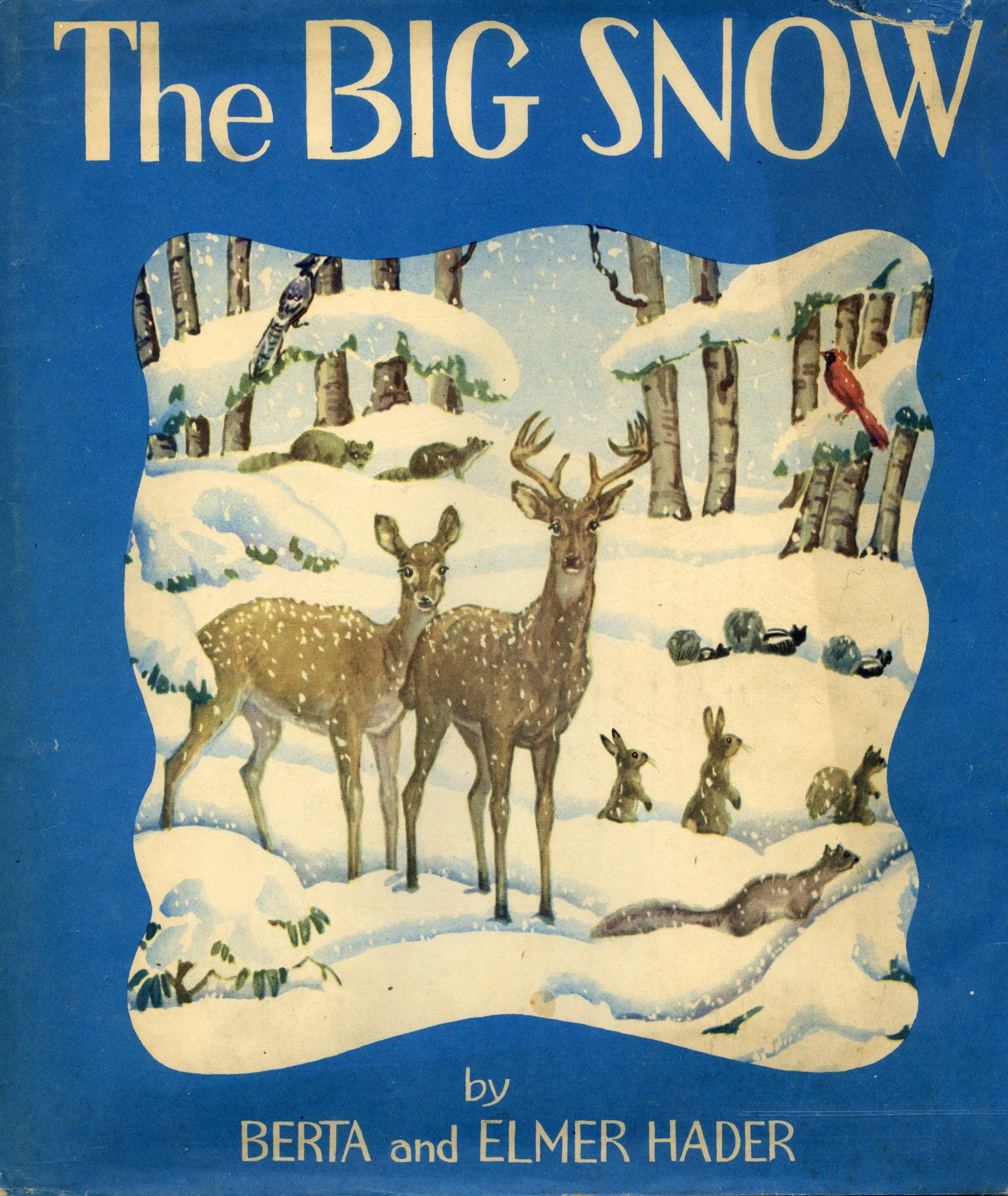 bigsnowdj.jpg