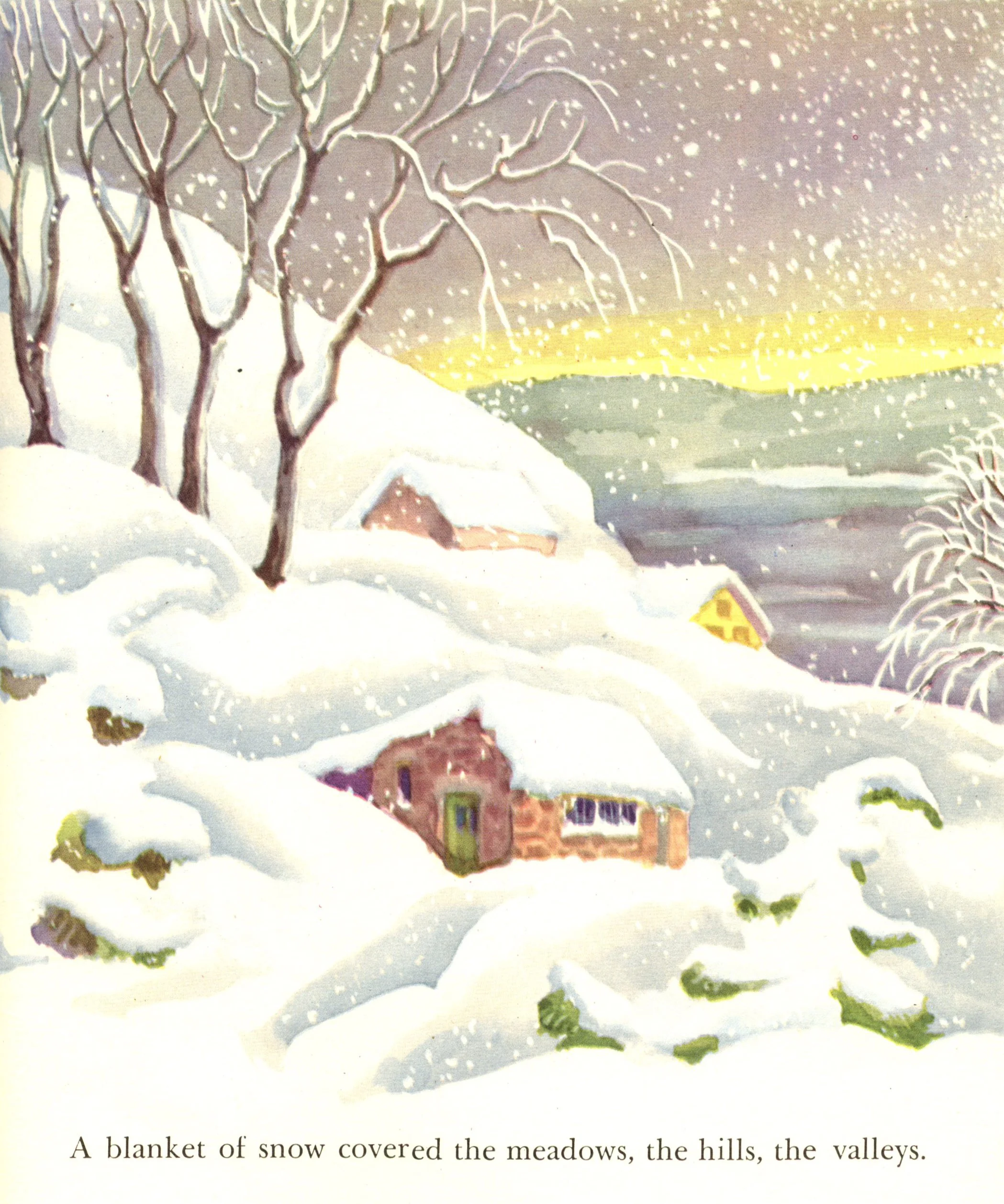 bigsnowpic2.jpg