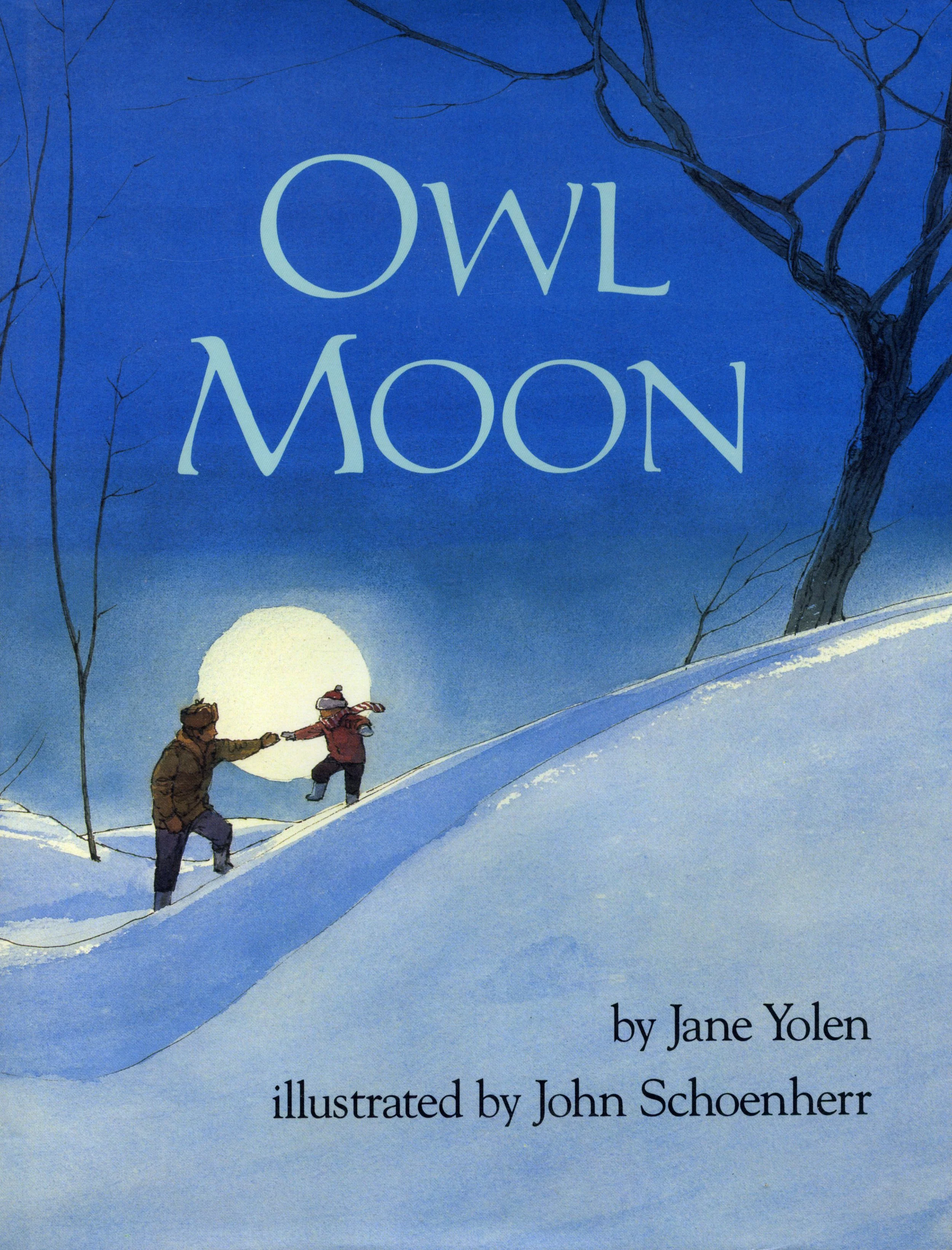 owlmoondj.jpg