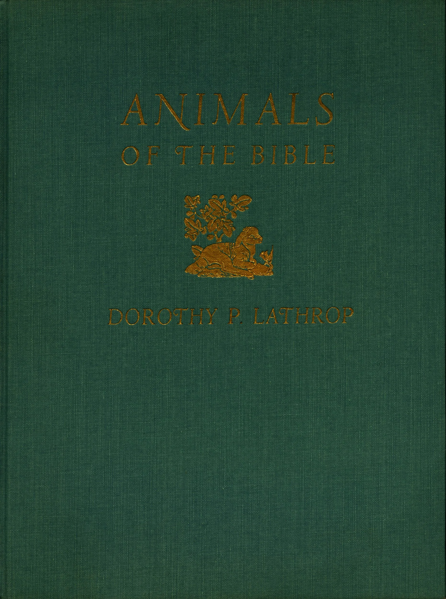 animalsbibleboards.jpg