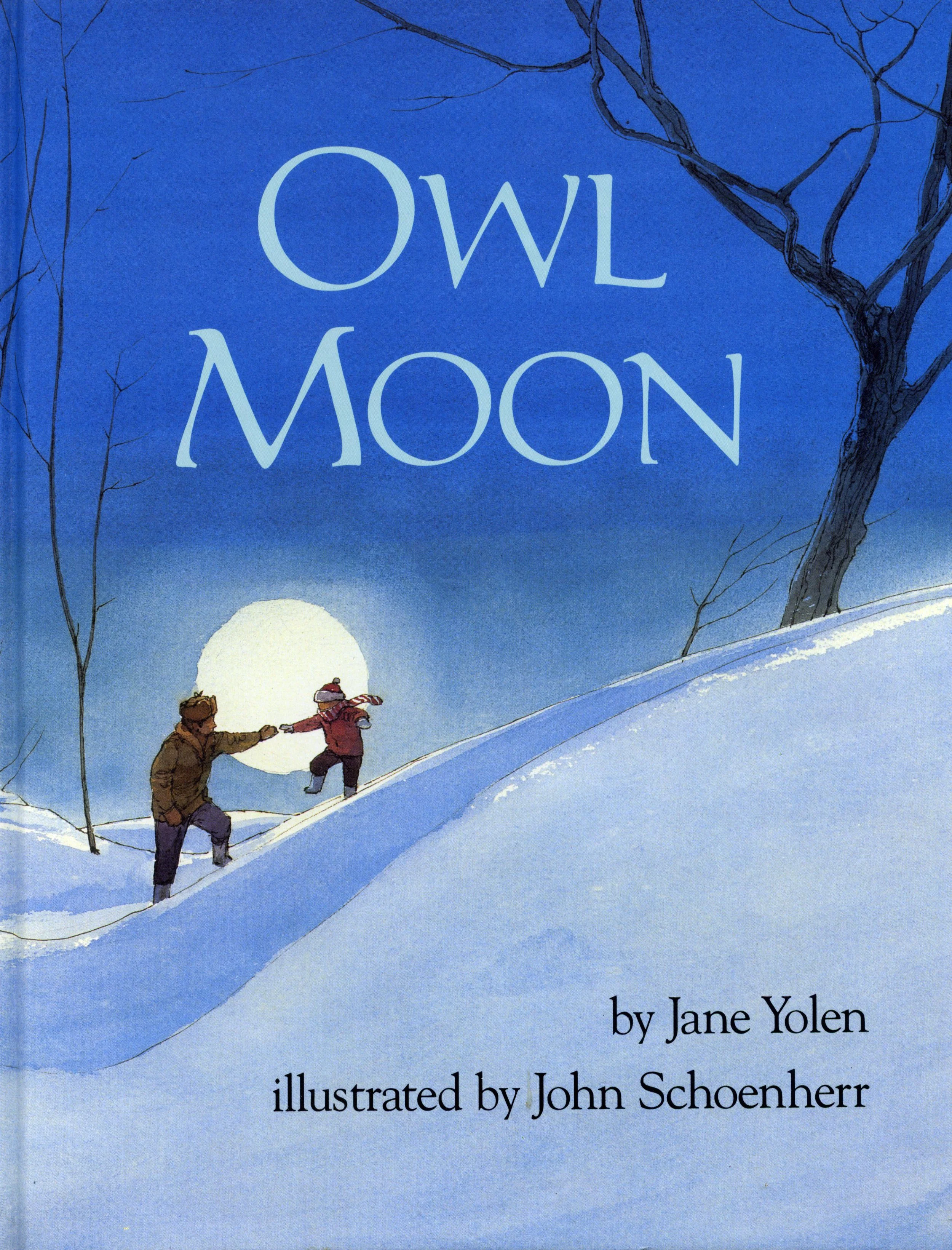 owlmoonboards.jpg