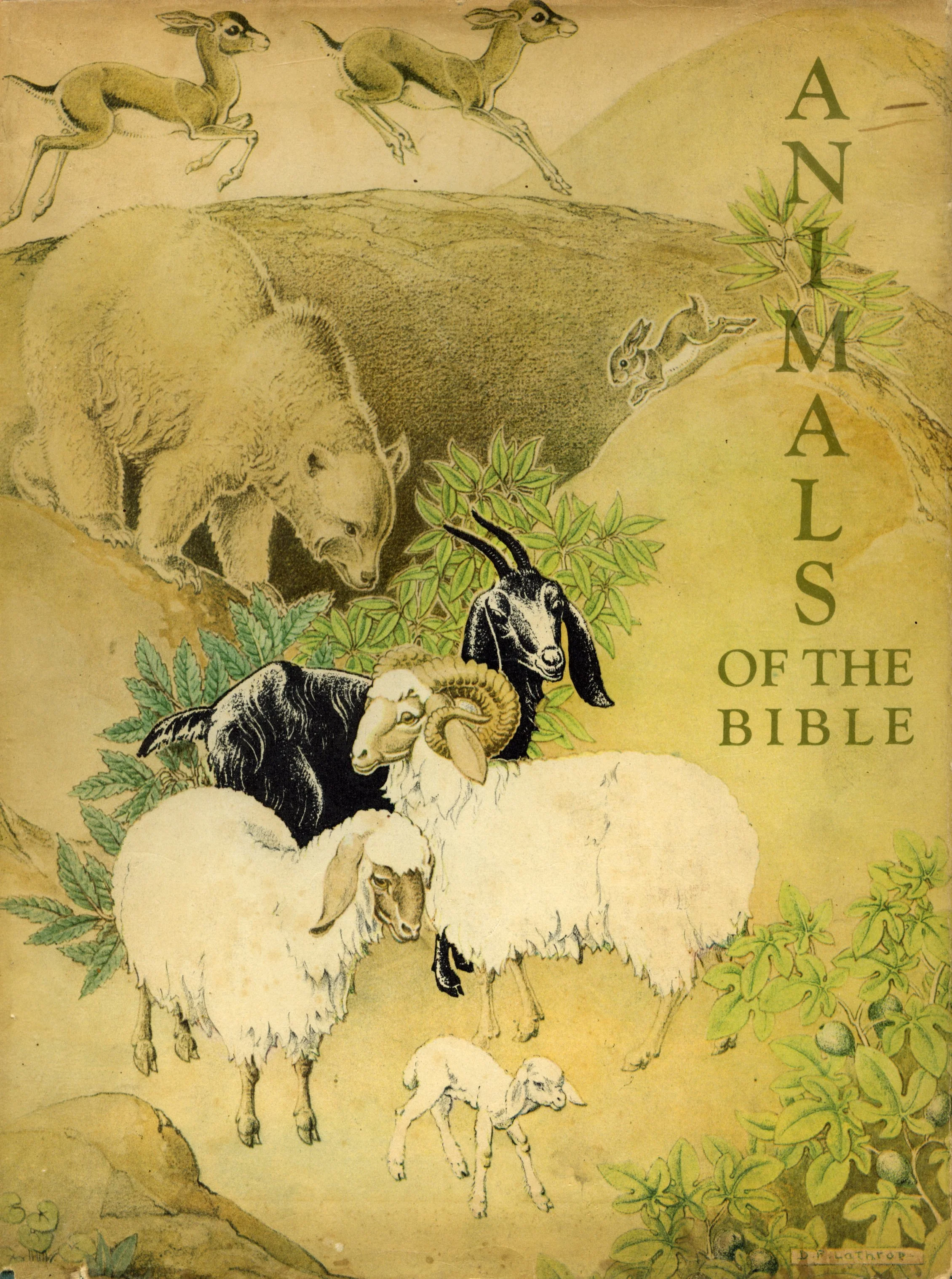 animalsbibledj.jpg