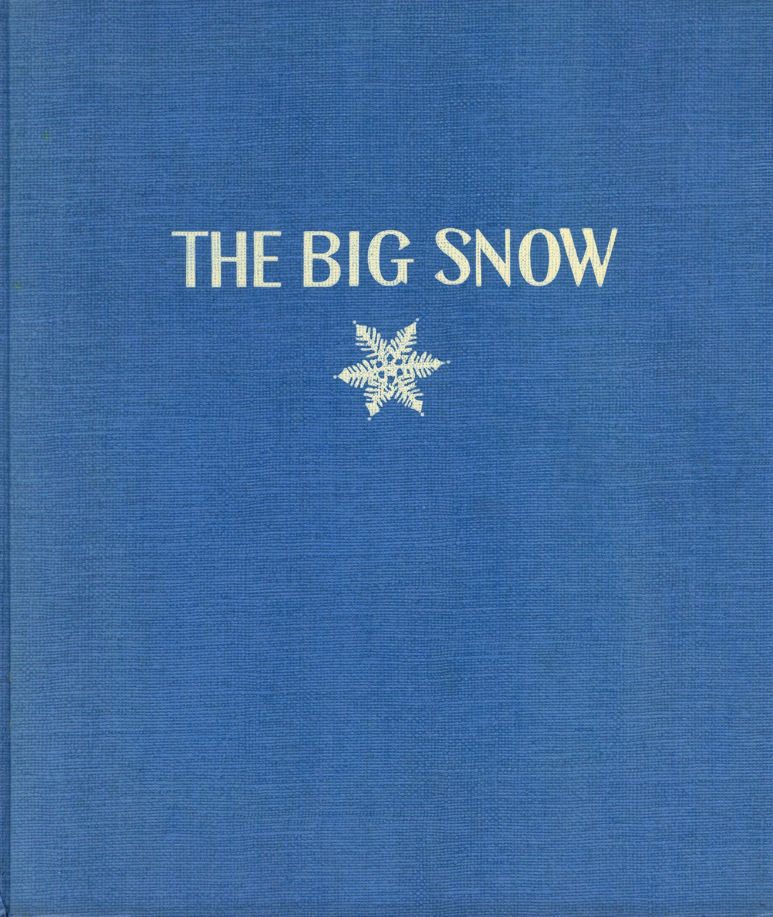 bigsnowboards.jpg