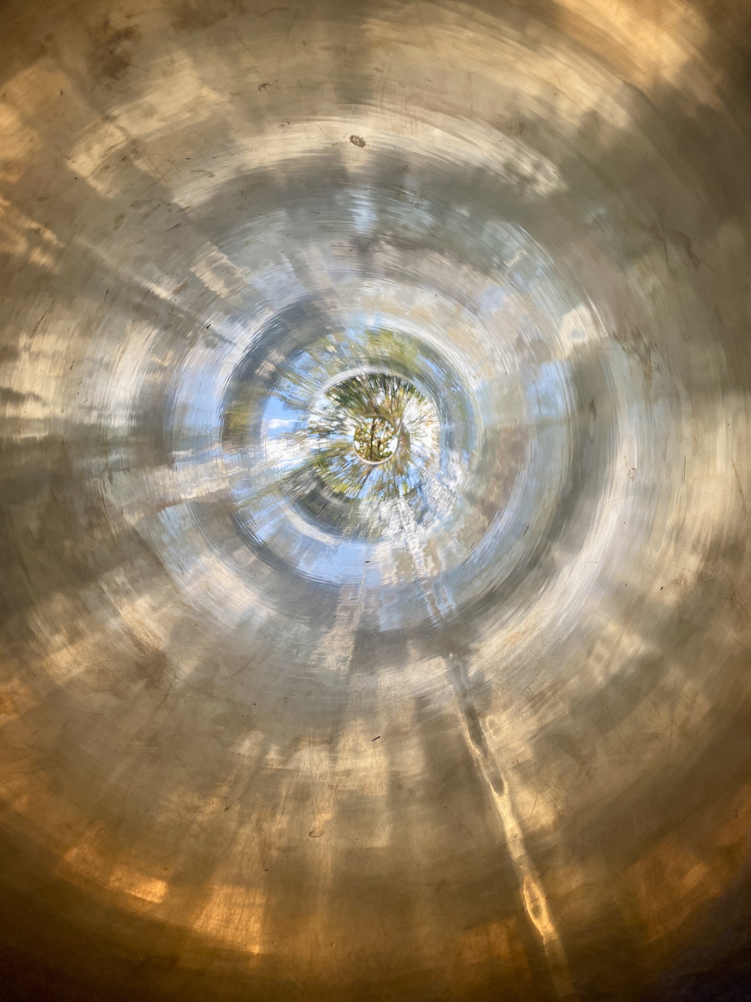 Kaleidoscope Rhea (1).JPG