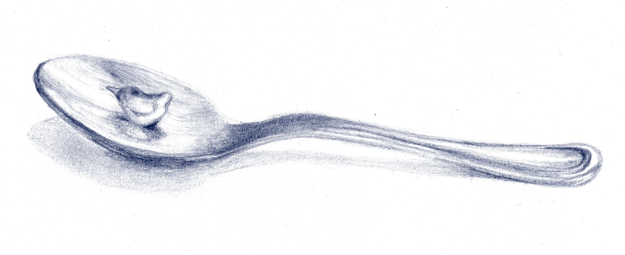 Spoon-SS.jpg