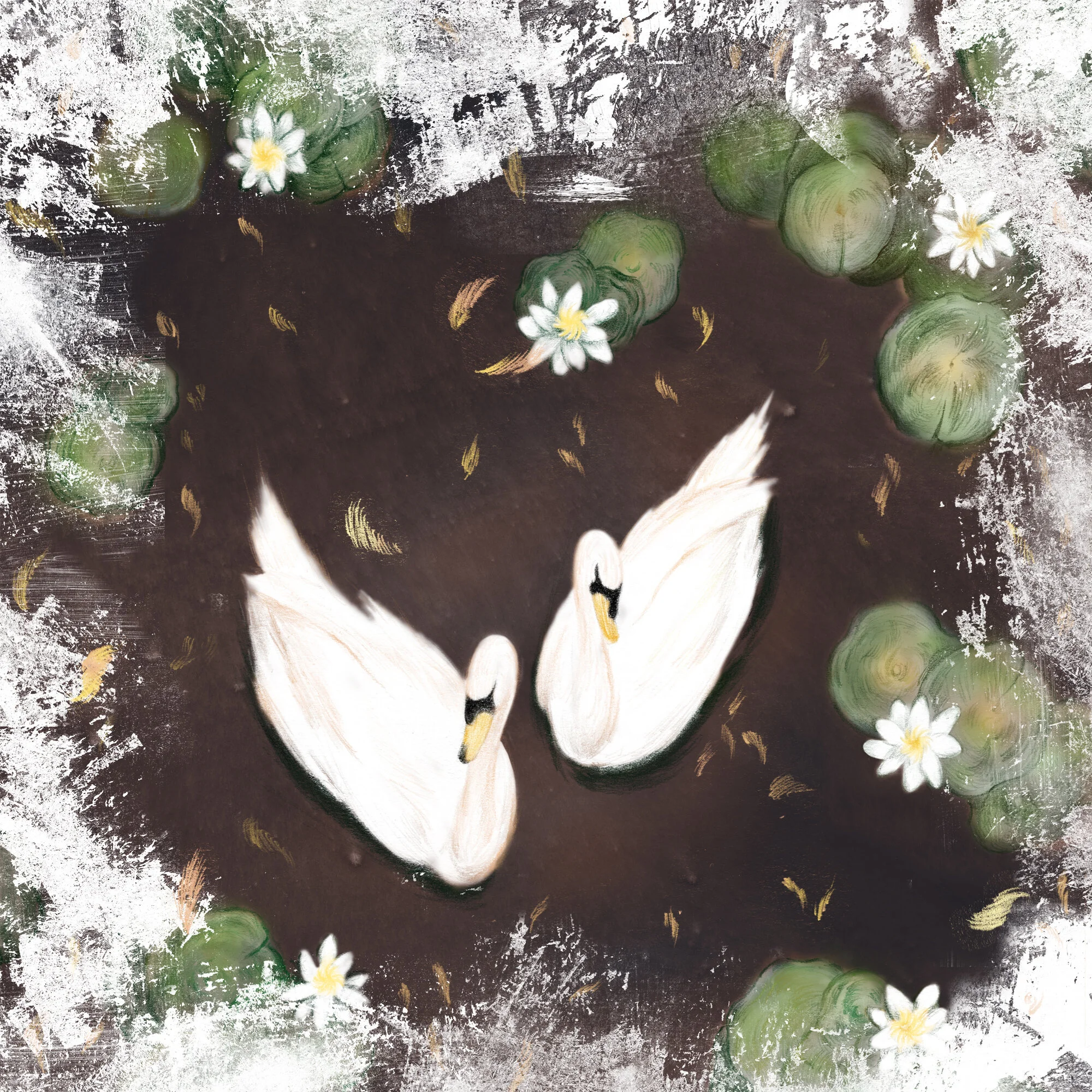 Swans_Alt_11.24.20.jpg