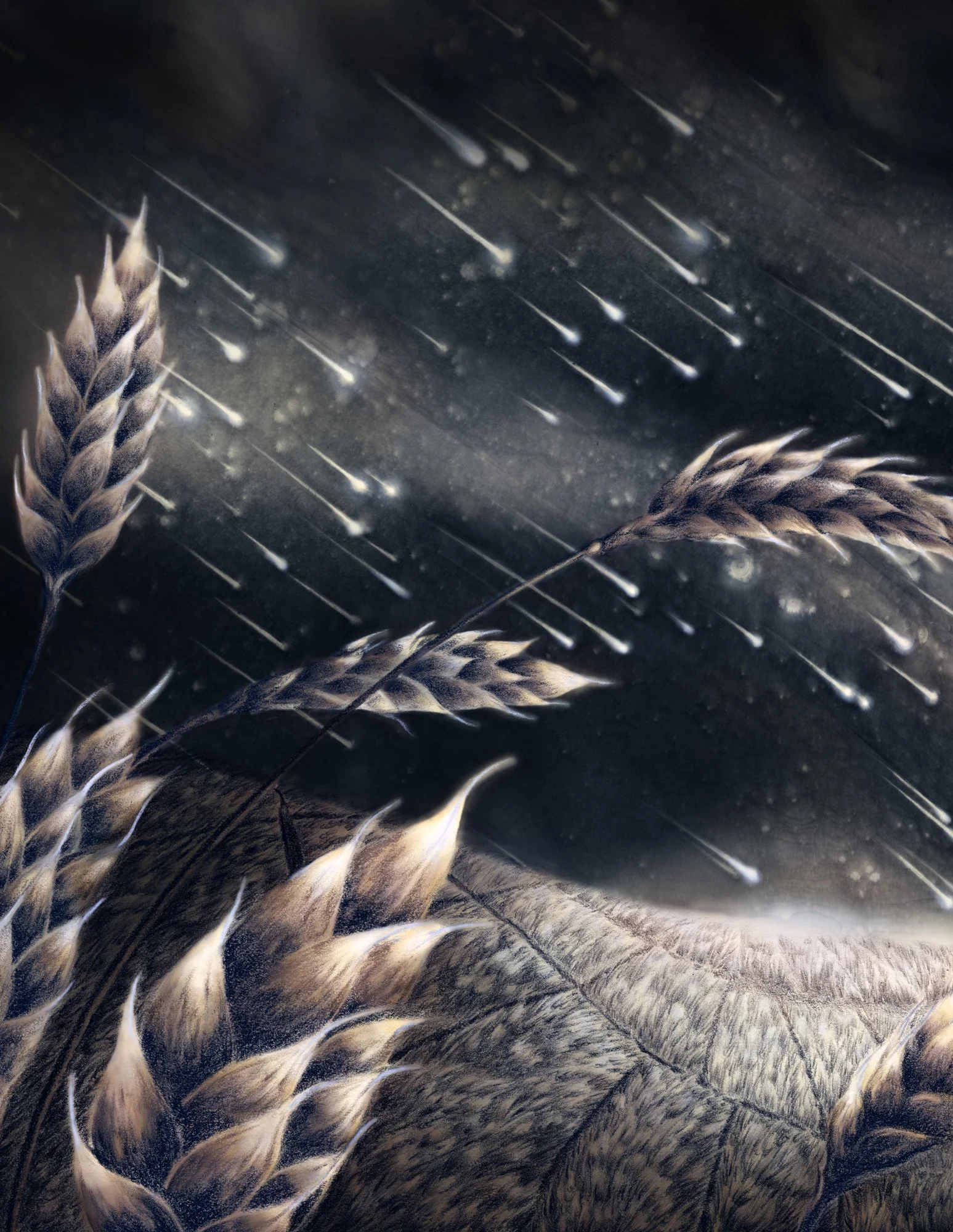 Unpublished: Meteor Shower