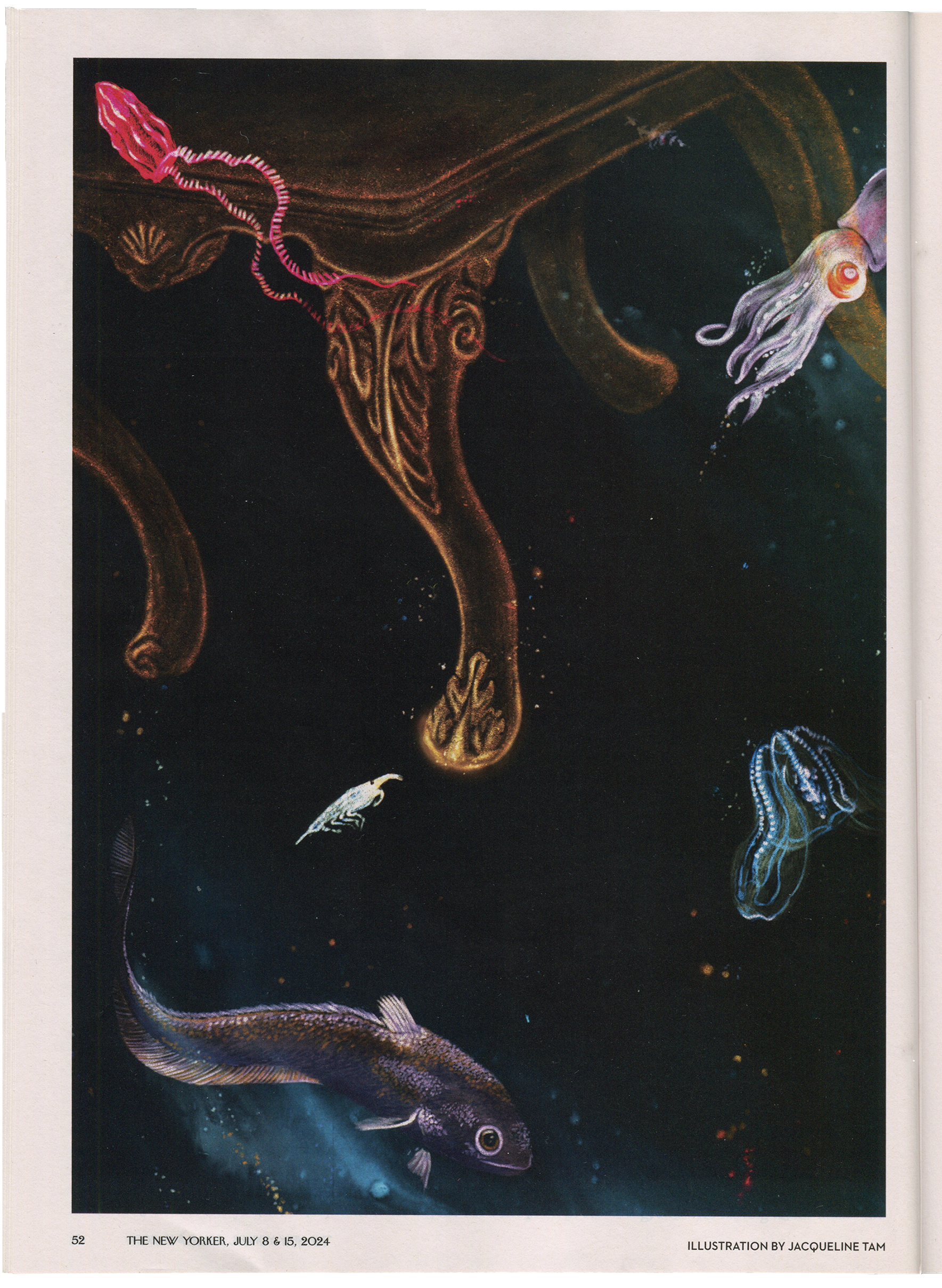 The New Yorker: The Hadal Zone