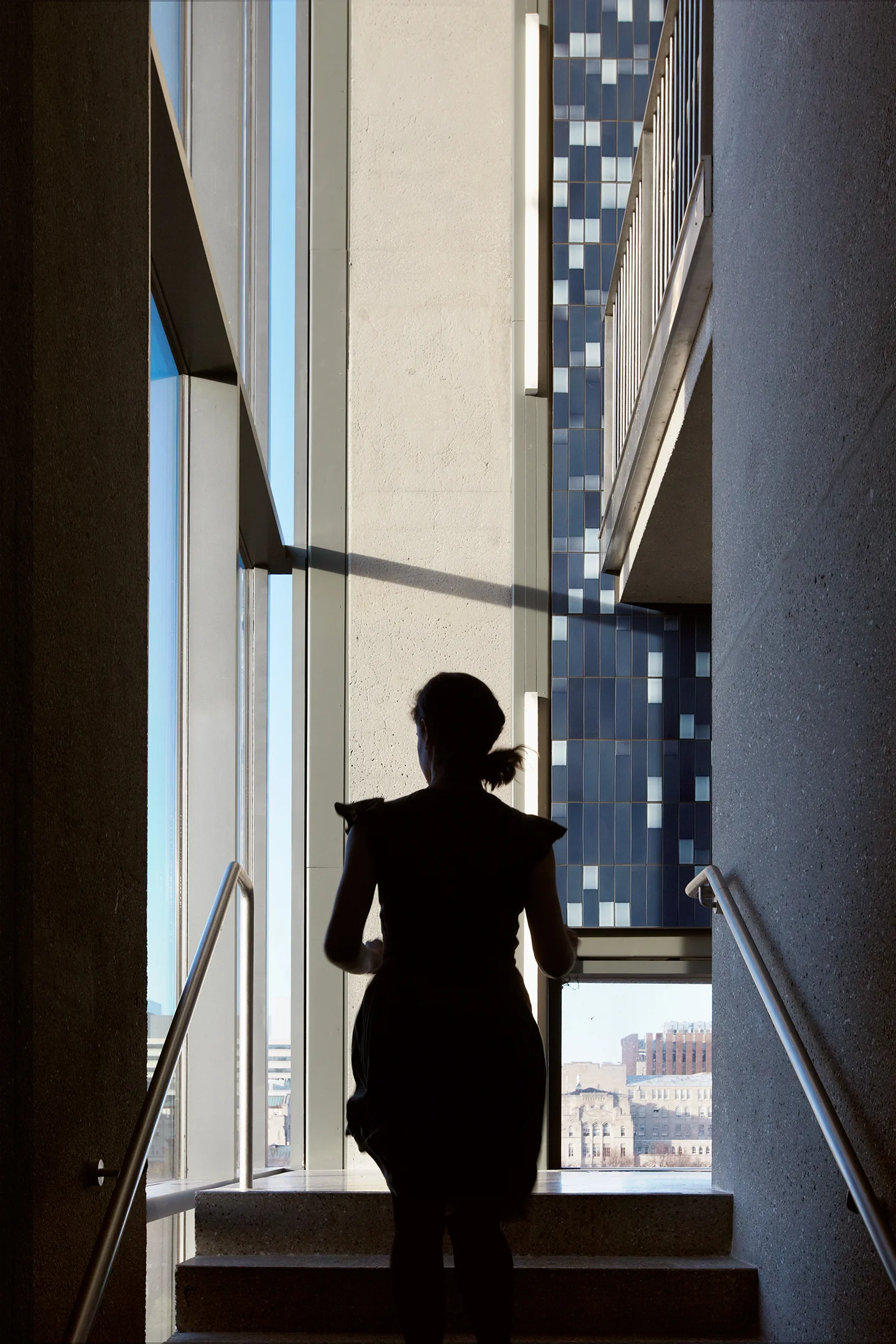 TOD WILLIAMS BILLIE TSIEN ARCHITECTS / Reva and David Logan Center for the Arts / University of Chicago