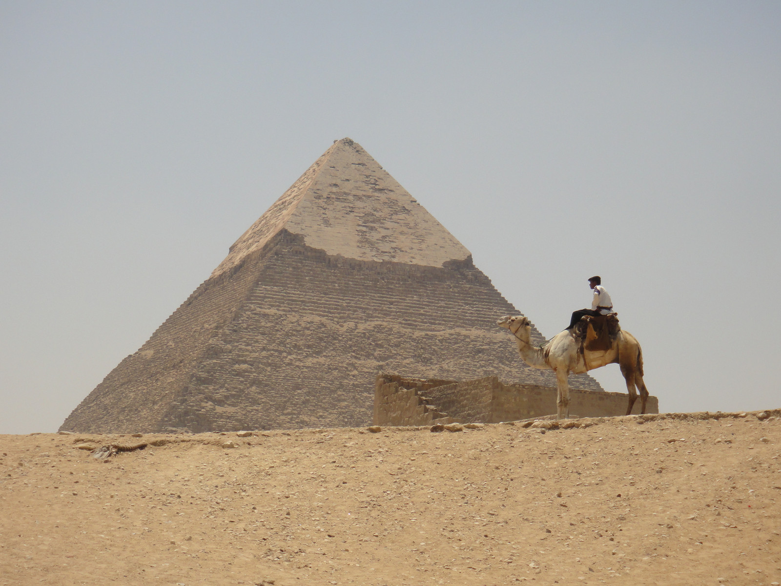 A police man gazes at the Great Pyramid. (Giza, Eygpt)