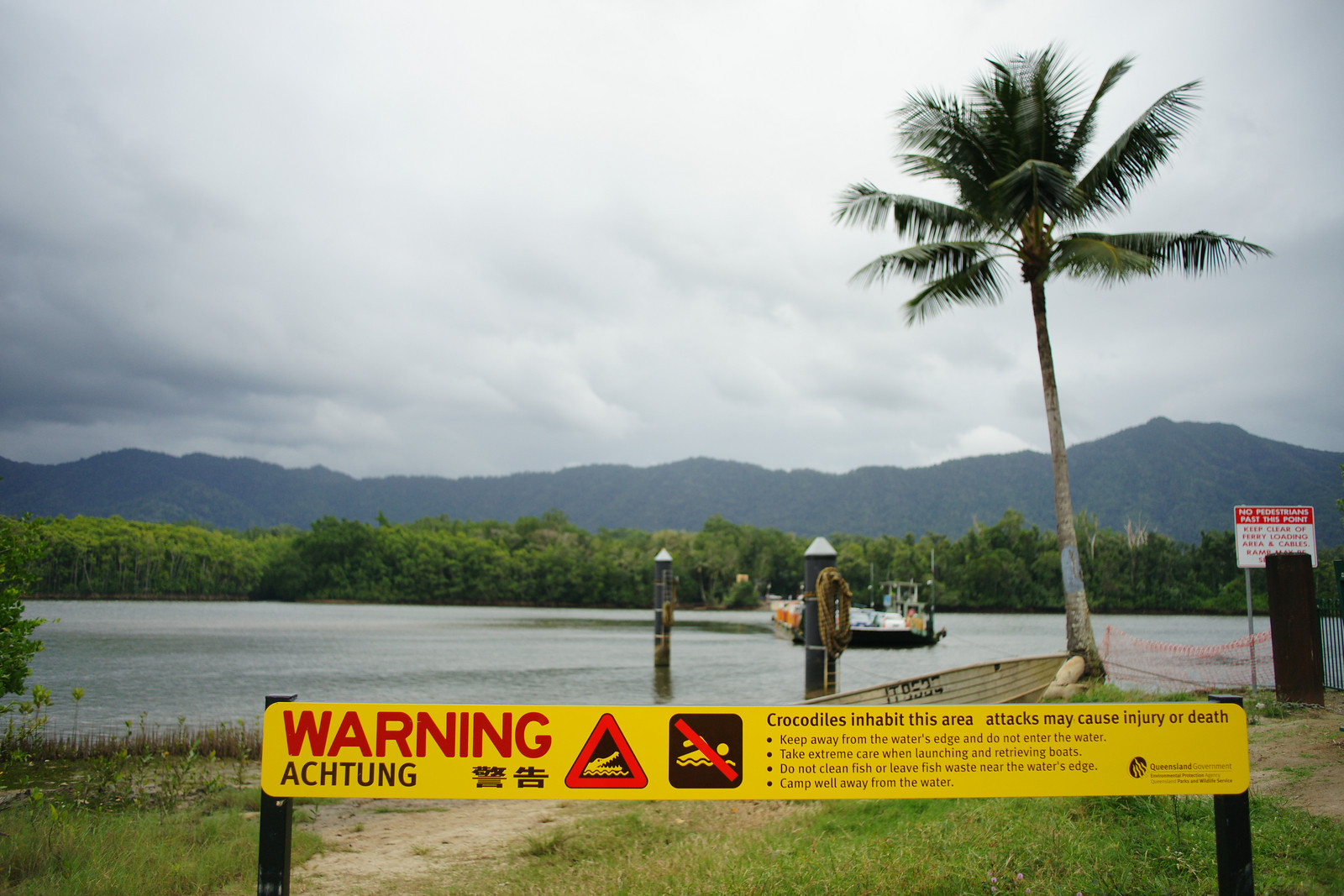 Had to remember not to go near the water (Queensland, Australia)